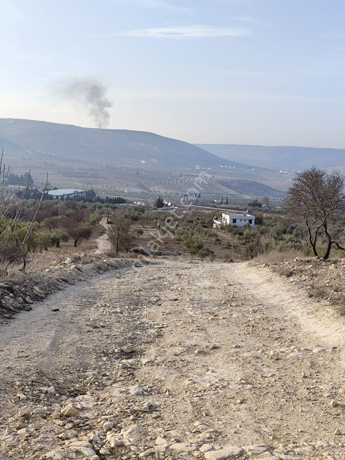 Ayyıldız Emlaktan 7.022 M2 Zeytinlik İmar Planına Yakın Bölgede - Görsel 30