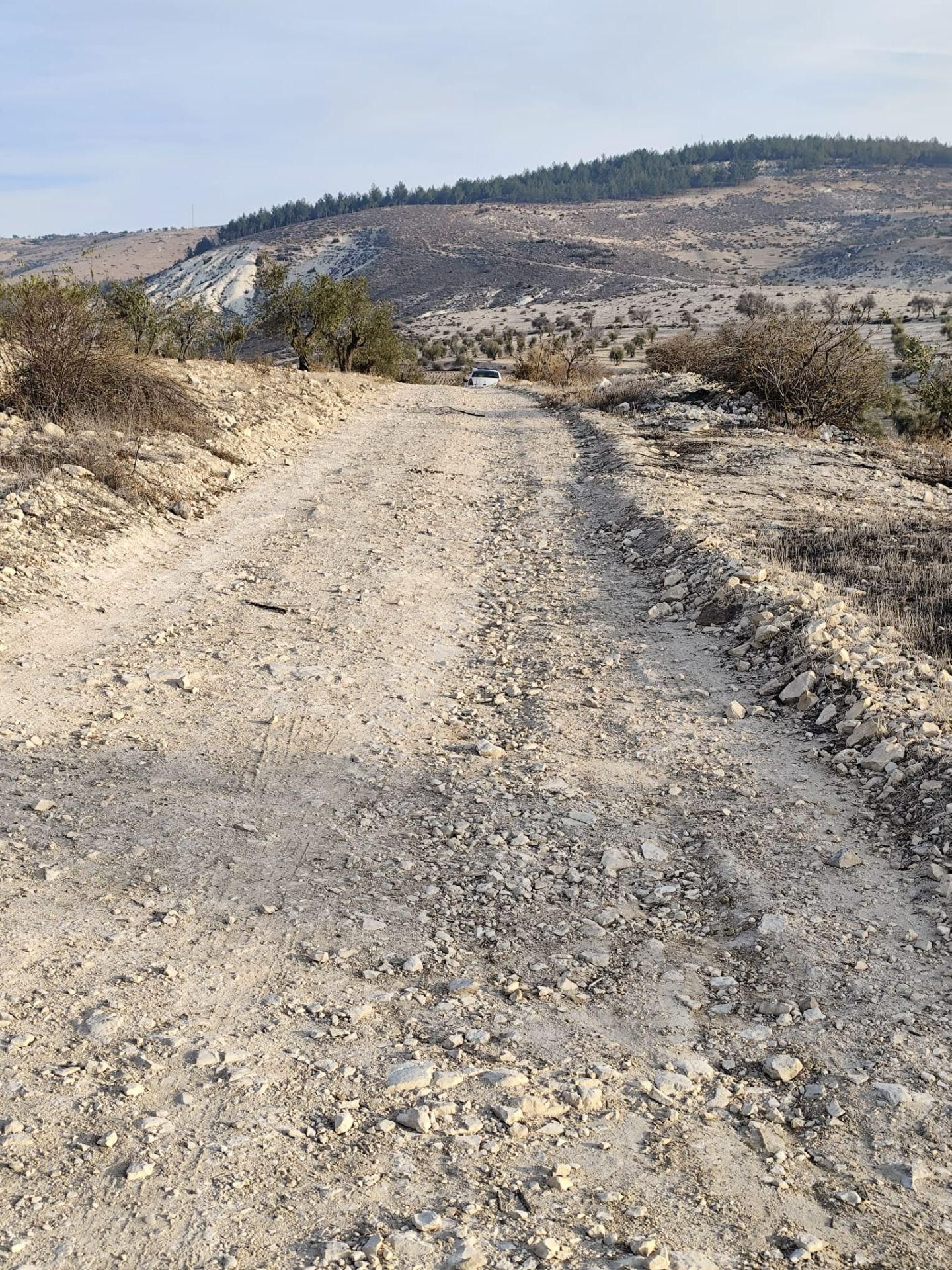 Ayyıldız Emlaktan 7.022 M2 Zeytinlik İmar Planına Yakın Bölgede - Görsel 10