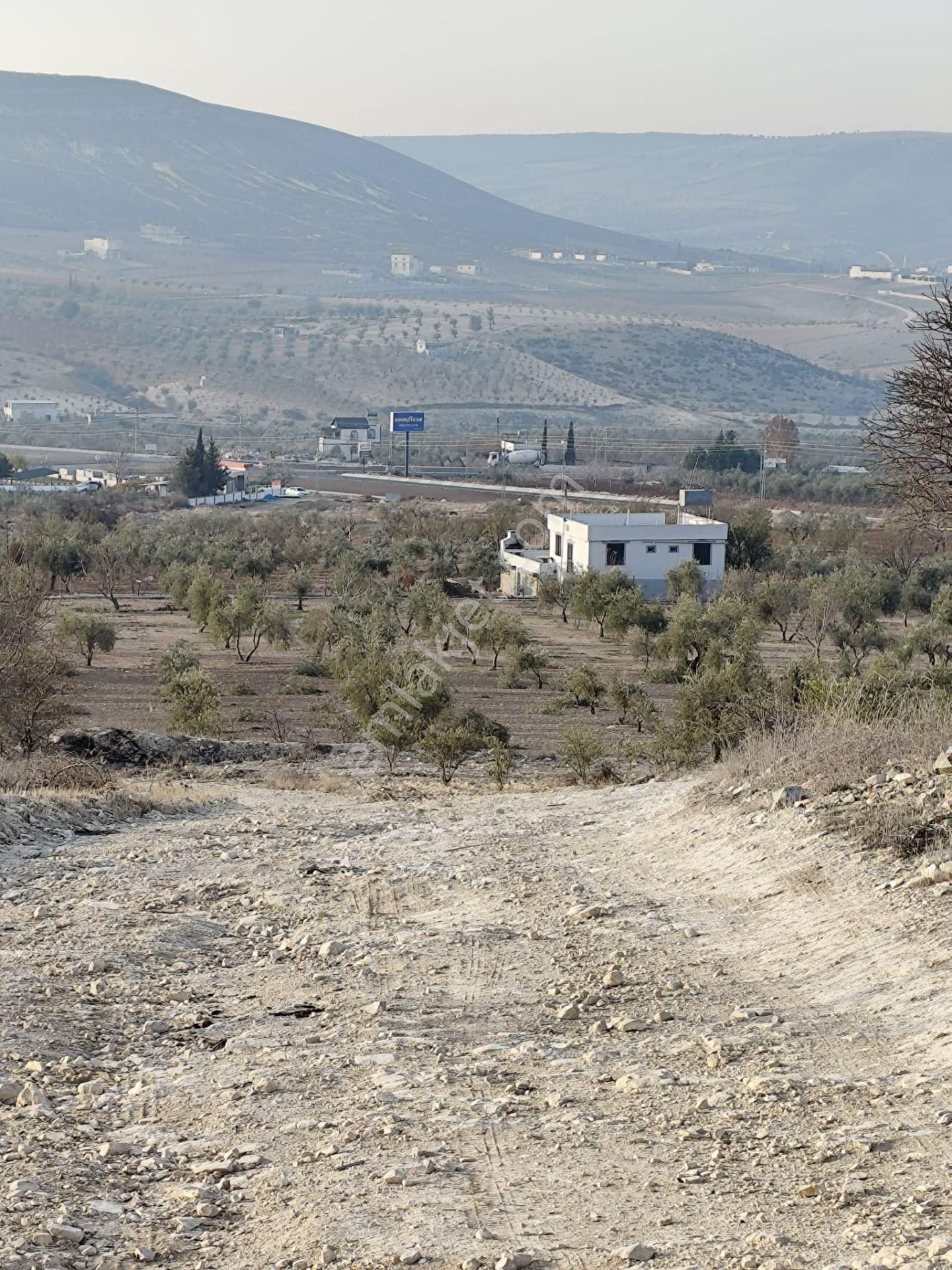 Ayyıldız Emlaktan 7.022 M2 Zeytinlik İmar Planına Yakın Bölgede - Görsel 27