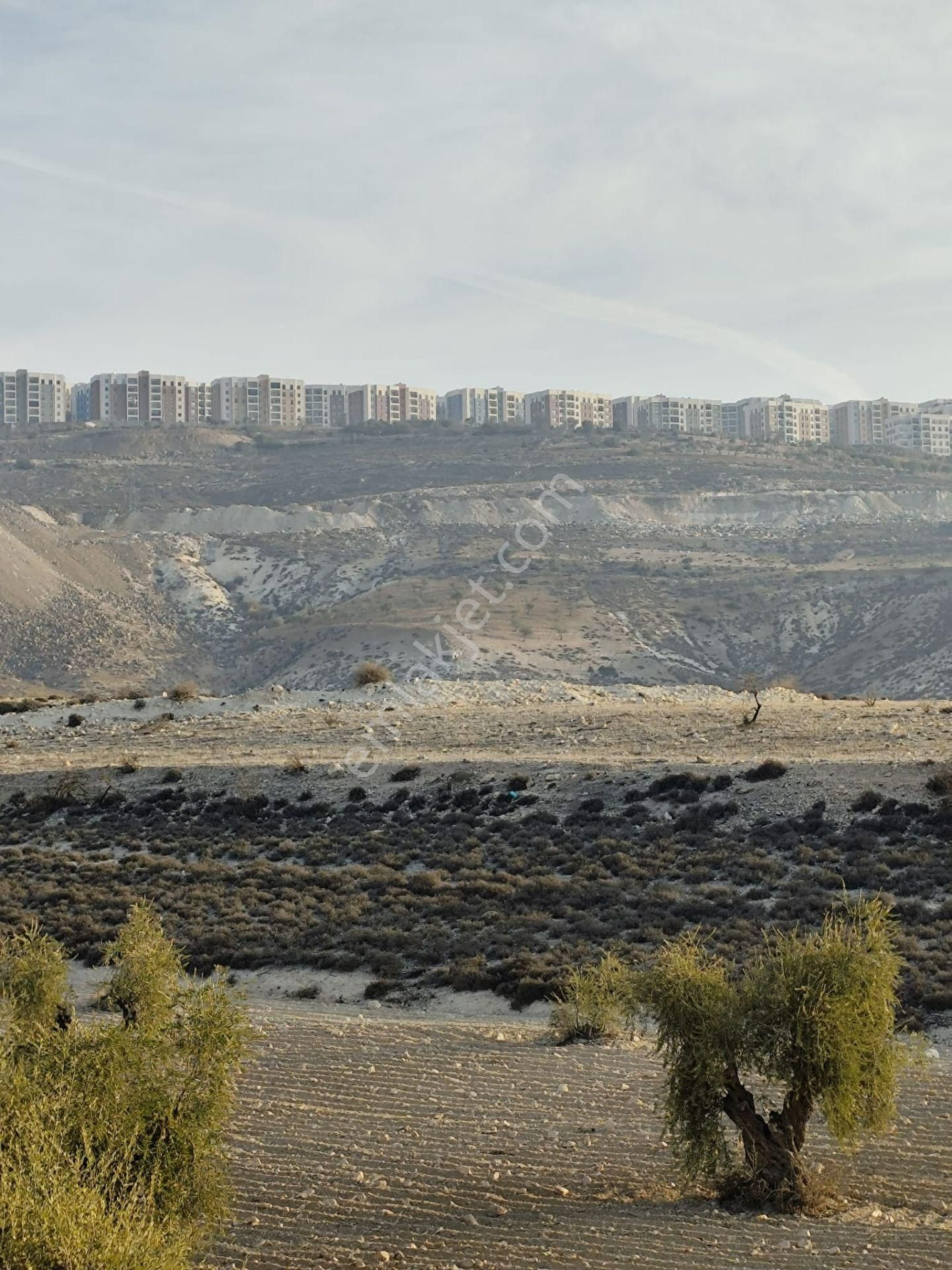 Ayyıldız Emlaktan 7.022 M2 Zeytinlik İmar Planına Yakın Bölgede - Görsel 14