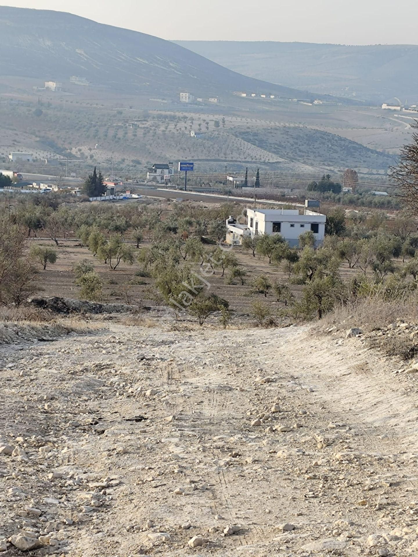 Ayyıldız Emlaktan 7.022 M2 Zeytinlik İmar Planına Yakın Bölgede - Görsel 29