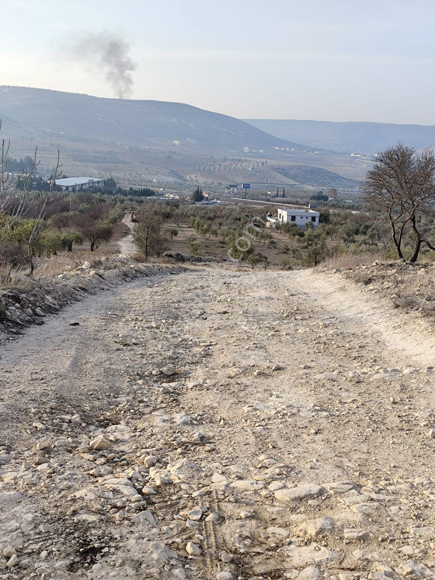 Ayyıldız Emlaktan 7.022 M2 Zeytinlik İmar Planına Yakın Bölgede - Görsel 8