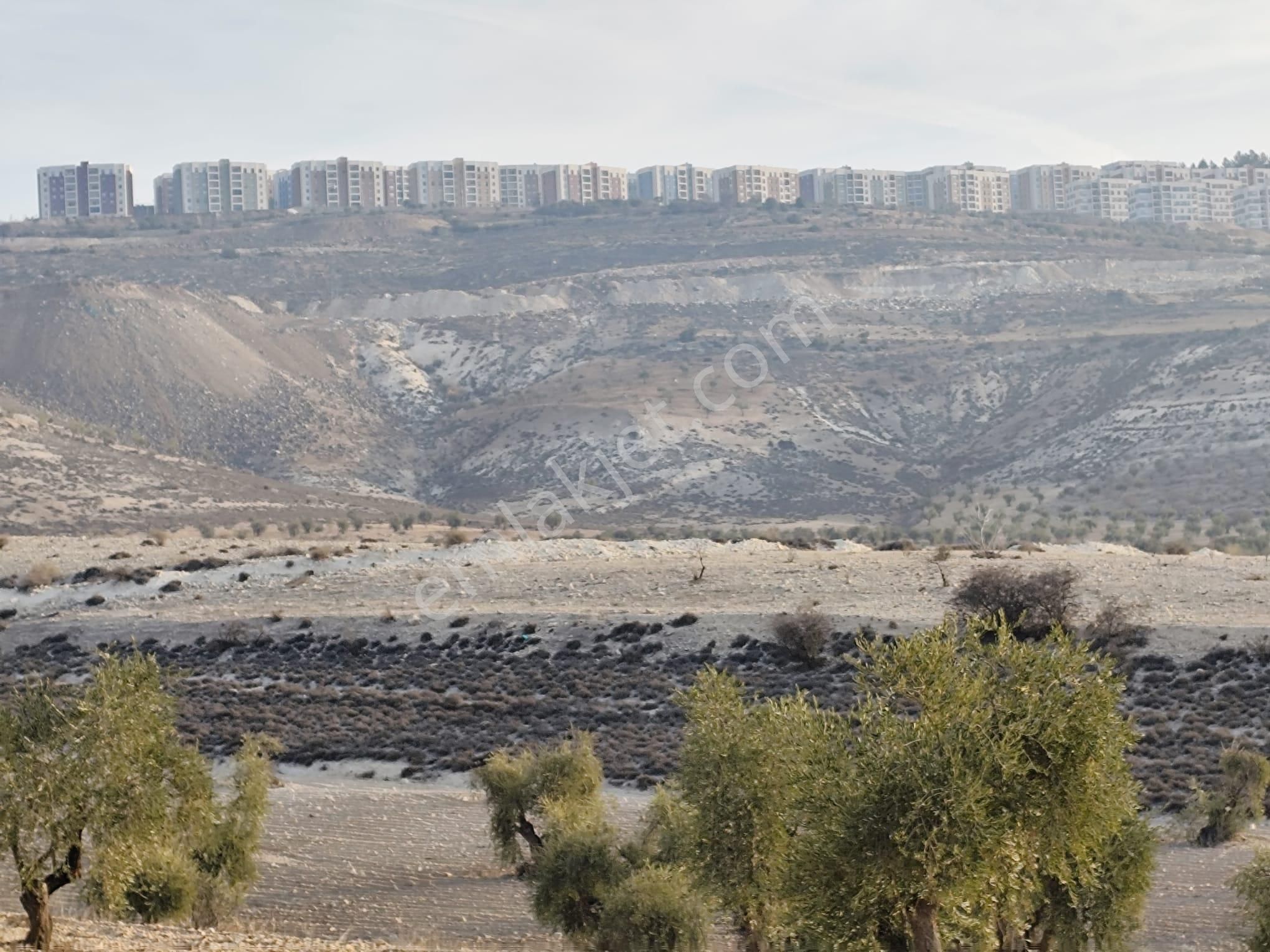 Ayyıldız Emlaktan 7.022 M2 Zeytinlik İmar Planına Yakın Bölgede - Görsel 25