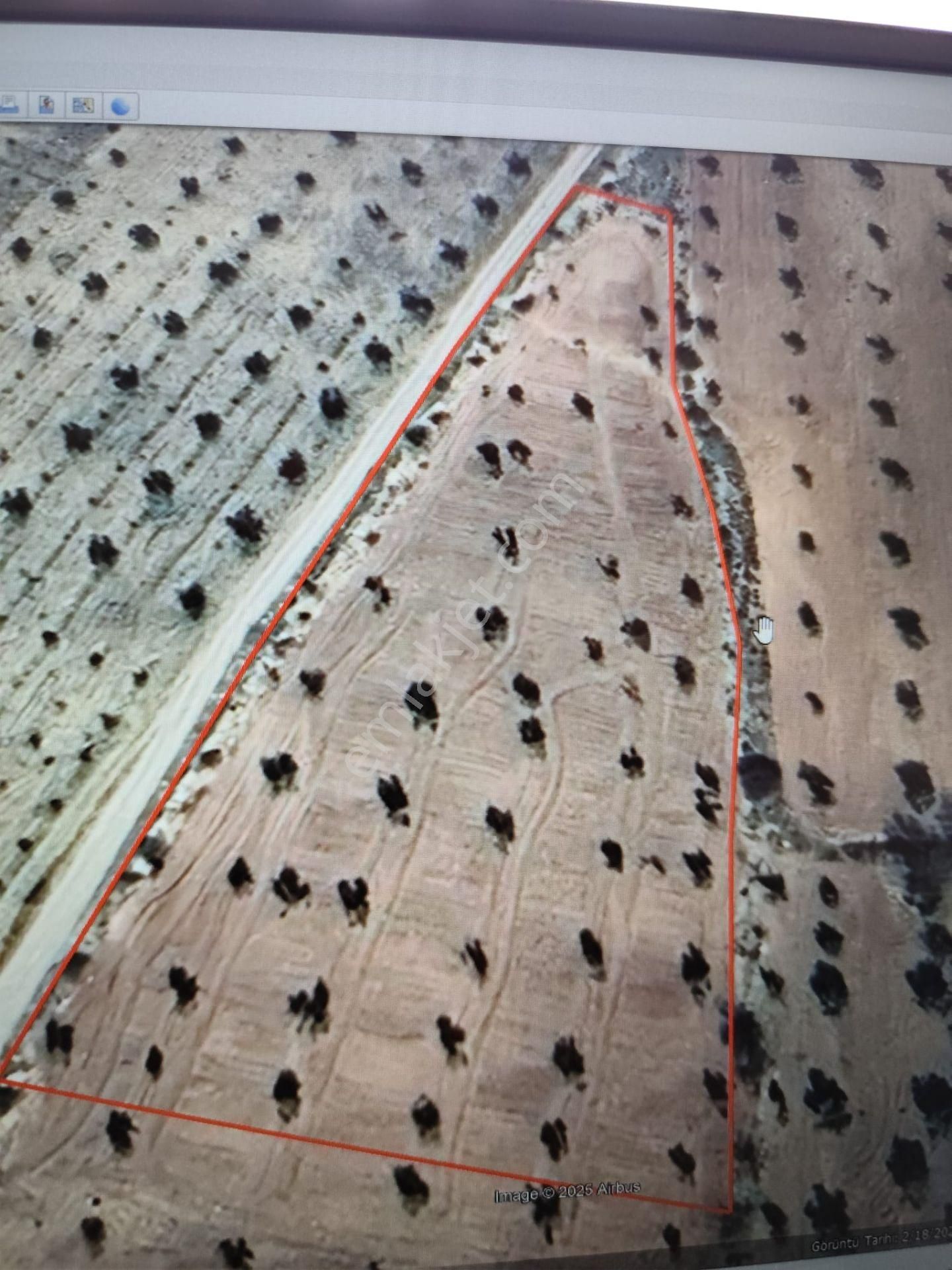 Ayyıldız Emlaktan 7.022 M2 Zeytinlik İmar Planına Yakın Bölgede - Görsel 7