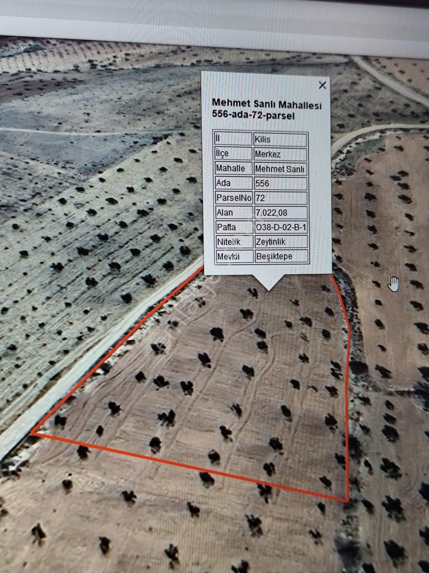 Ayyıldız Emlaktan 7.022 M2 Zeytinlik İmar Planına Yakın Bölgede - Görsel 2