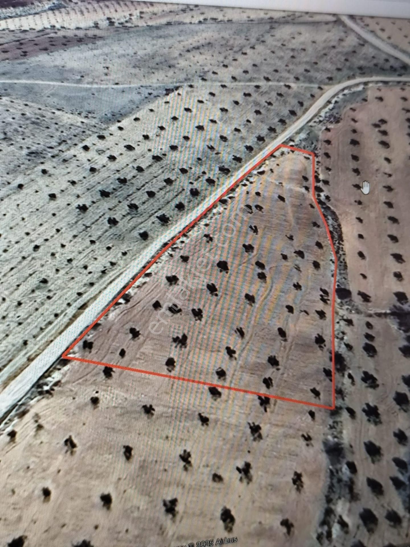 Ayyıldız Emlaktan 7.022 M2 Zeytinlik İmar Planına Yakın Bölgede - Görsel 5