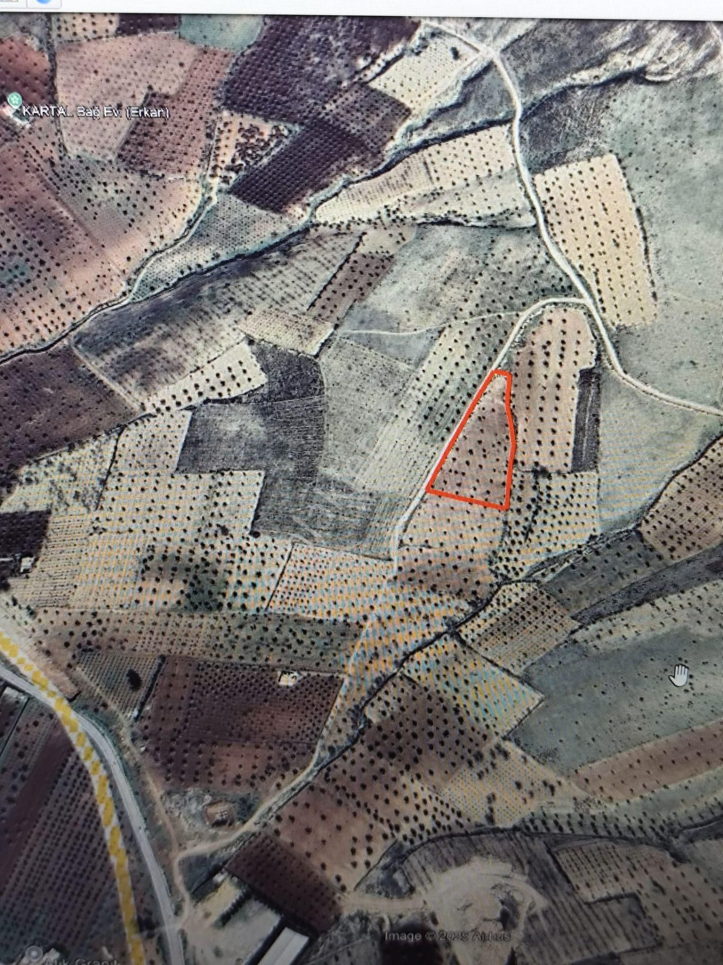 Ayyıldız Emlaktan 7.022 M2 Zeytinlik İmar Planına Yakın Bölgede - Görsel 4