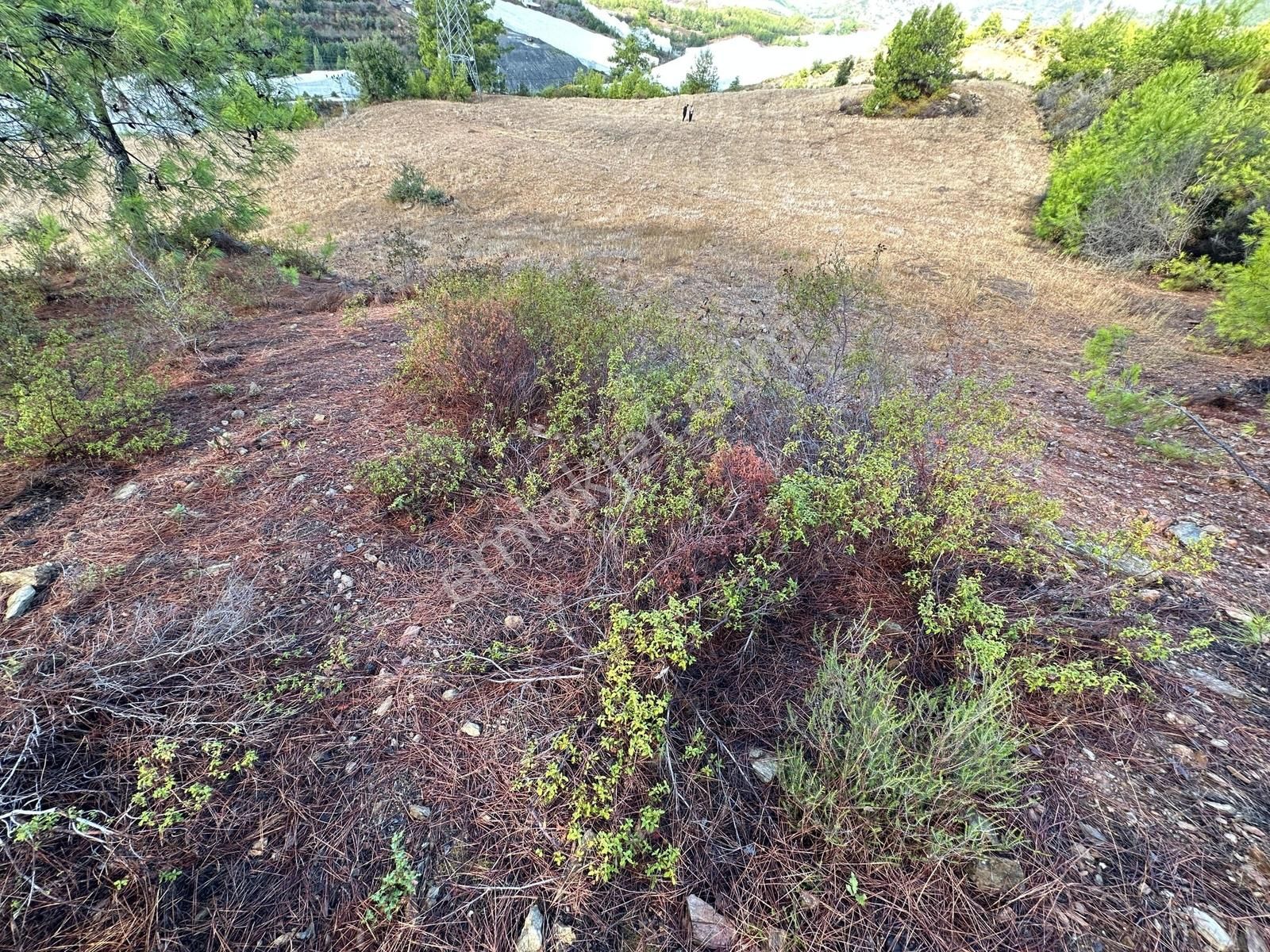 D400'e Yakın, Deniz Gören, Yüksek Yatırım Potansiyelli Arazi! - Görsel 18