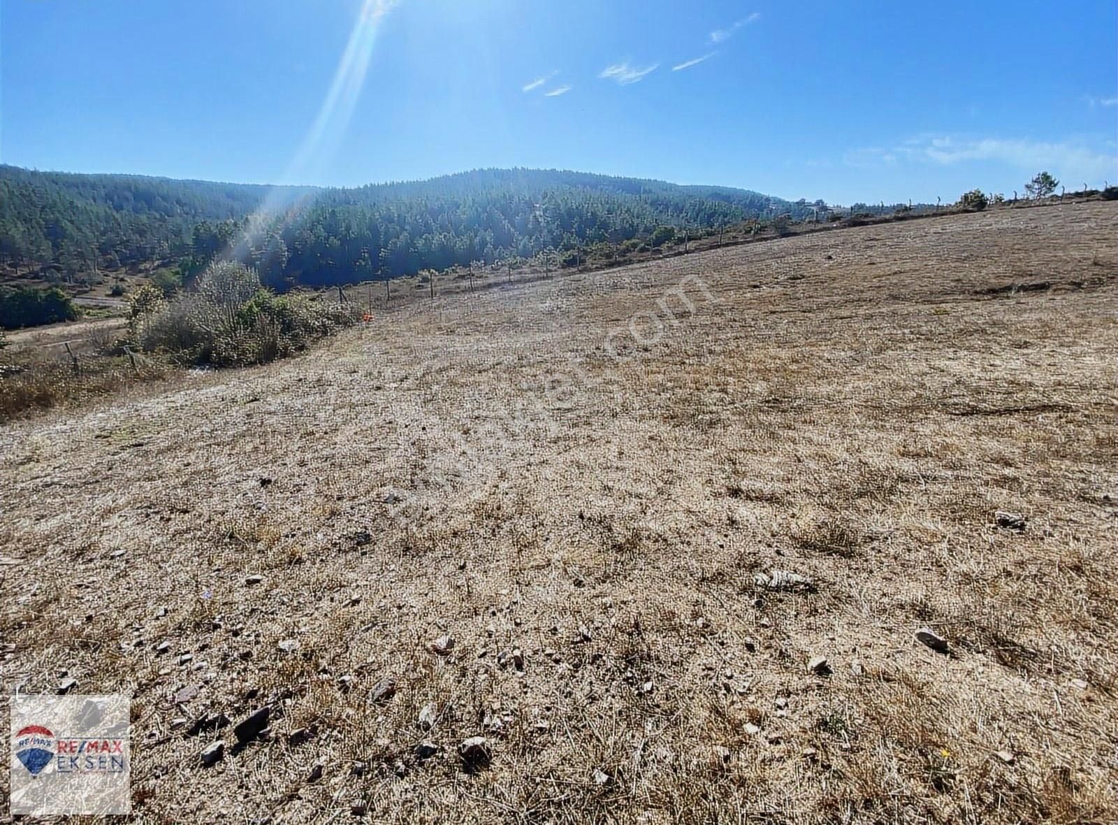 Pendik Ballıca Villa İmarına Yakın Satılık 1327 M2 Tarla - Görsel 5