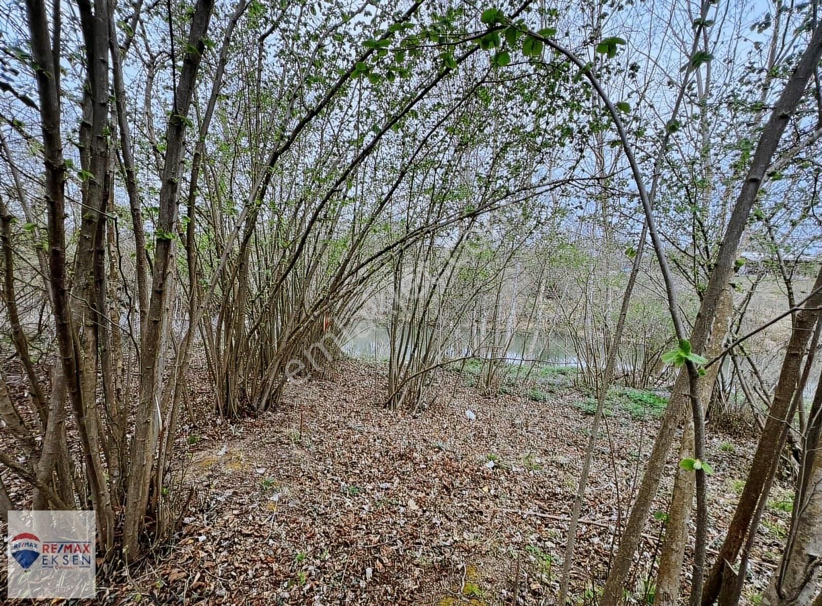 Şile İsaköy Mahallesi Kocadere Cepheli 2.322 M2 Satılık Tarla - Görsel 12