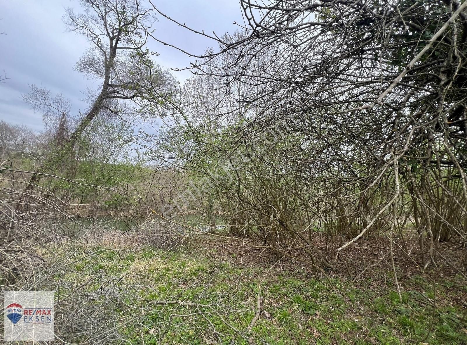 Şile İsaköy Mahallesi Kocadere Cepheli 2.322 M2 Satılık Tarla - Görsel 5