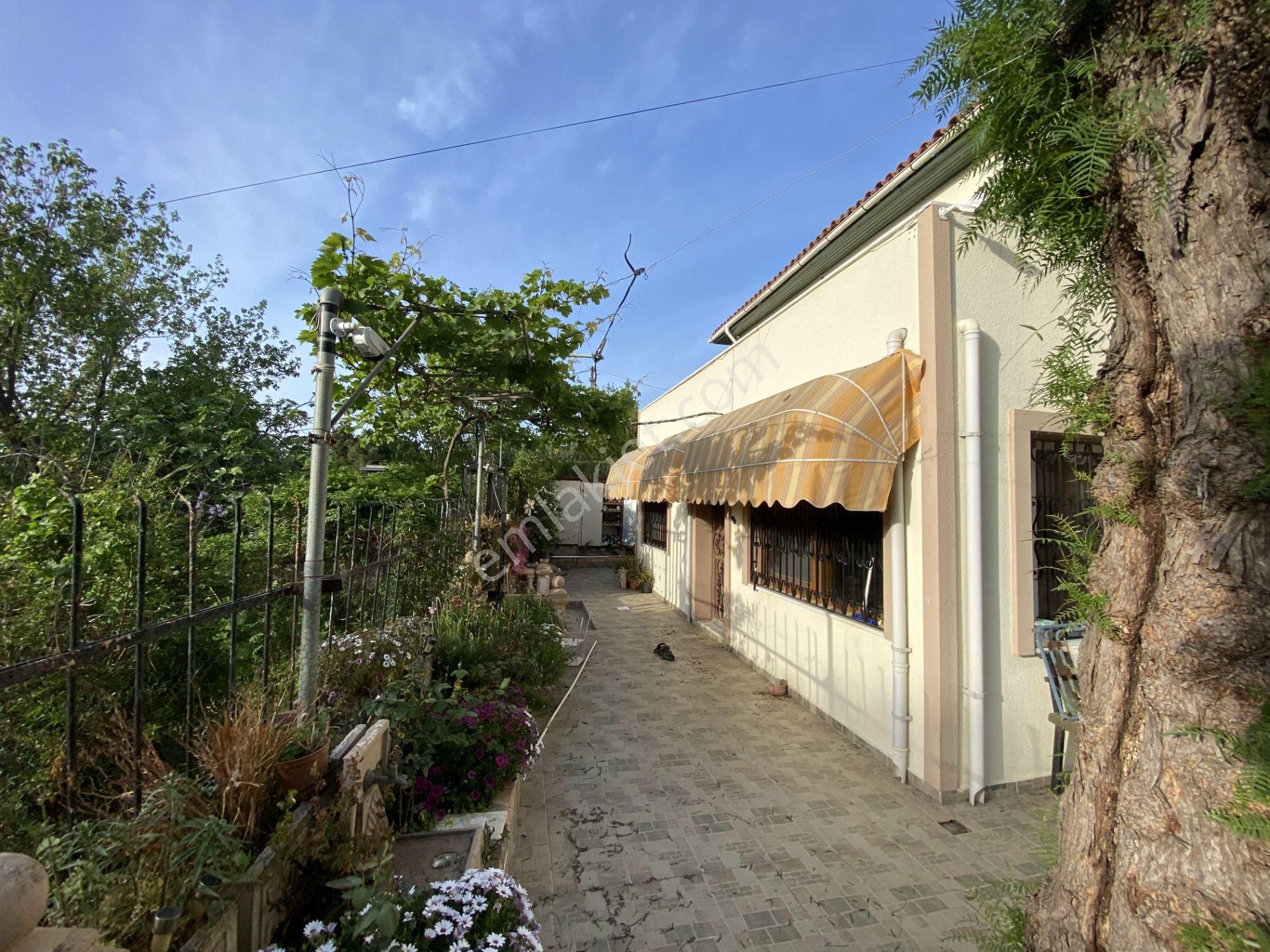 Balıkesir Ayvalık Camlık Ta Satılık 2 Adet Mustakil Ev.denize Sıfır - Görsel 4