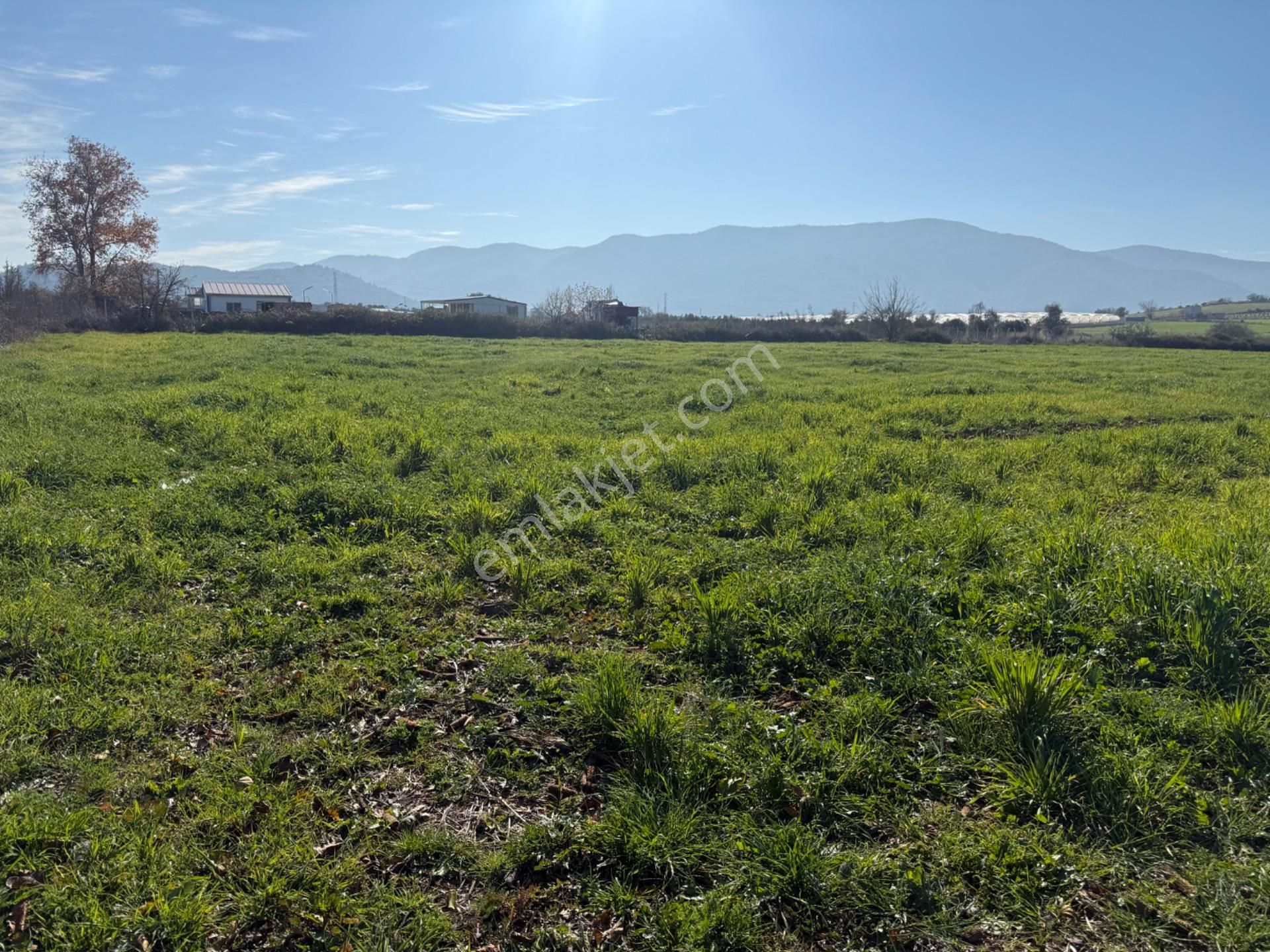 Menderes Değirmenderede Satılık Hisse Tapu Tarla - Görsel 4
