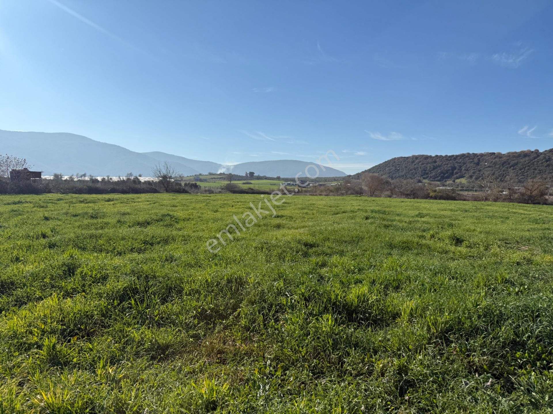 Menderes Değirmenderede Satılık Hisse Tapu Tarla - Görsel 6