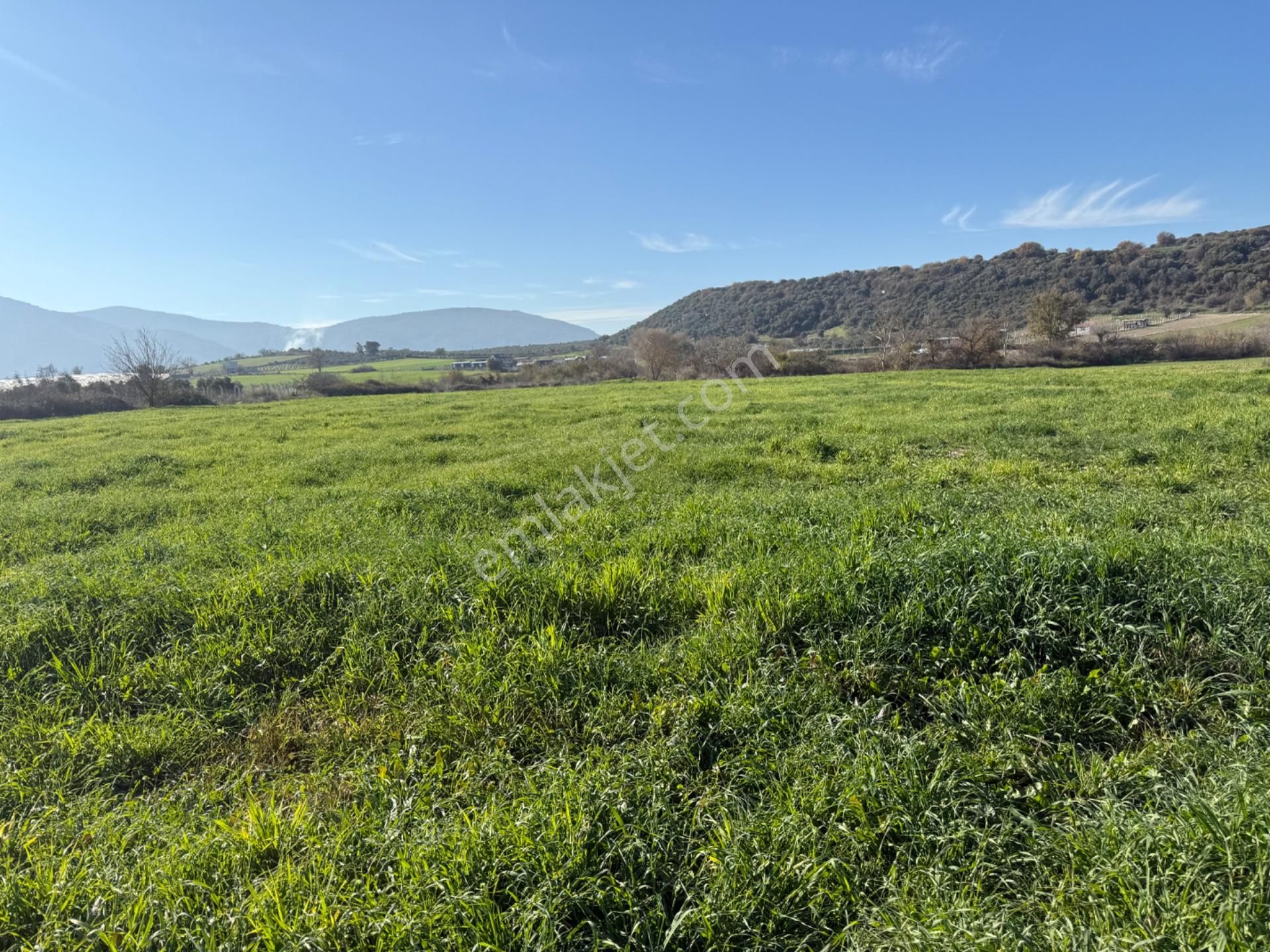 Menderes Değirmenderede Satılık Hisse Tapu Tarla - Görsel 5