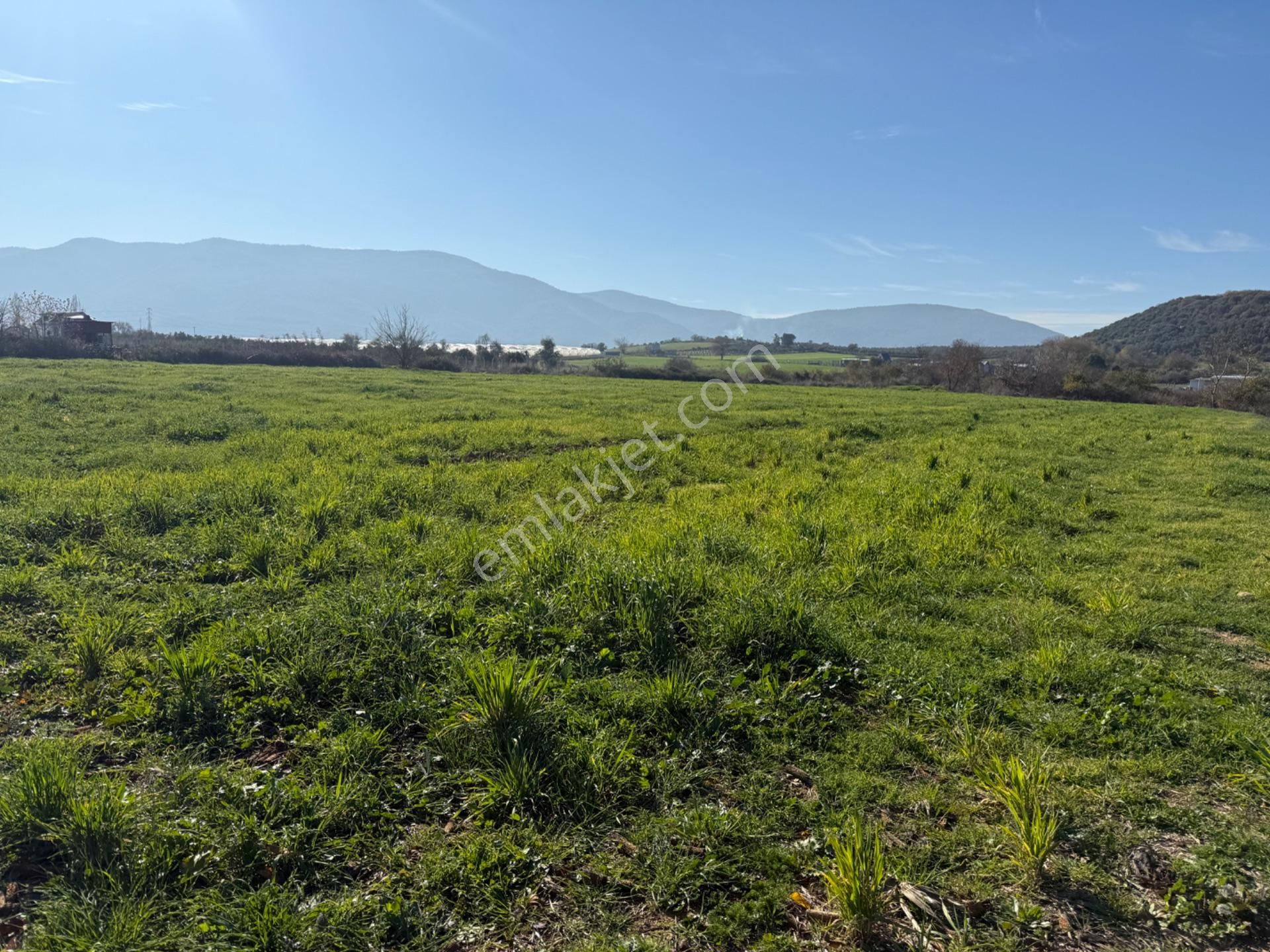 Menderes Değirmenderede Satılık Hisse Tapu Tarla - Görsel 3