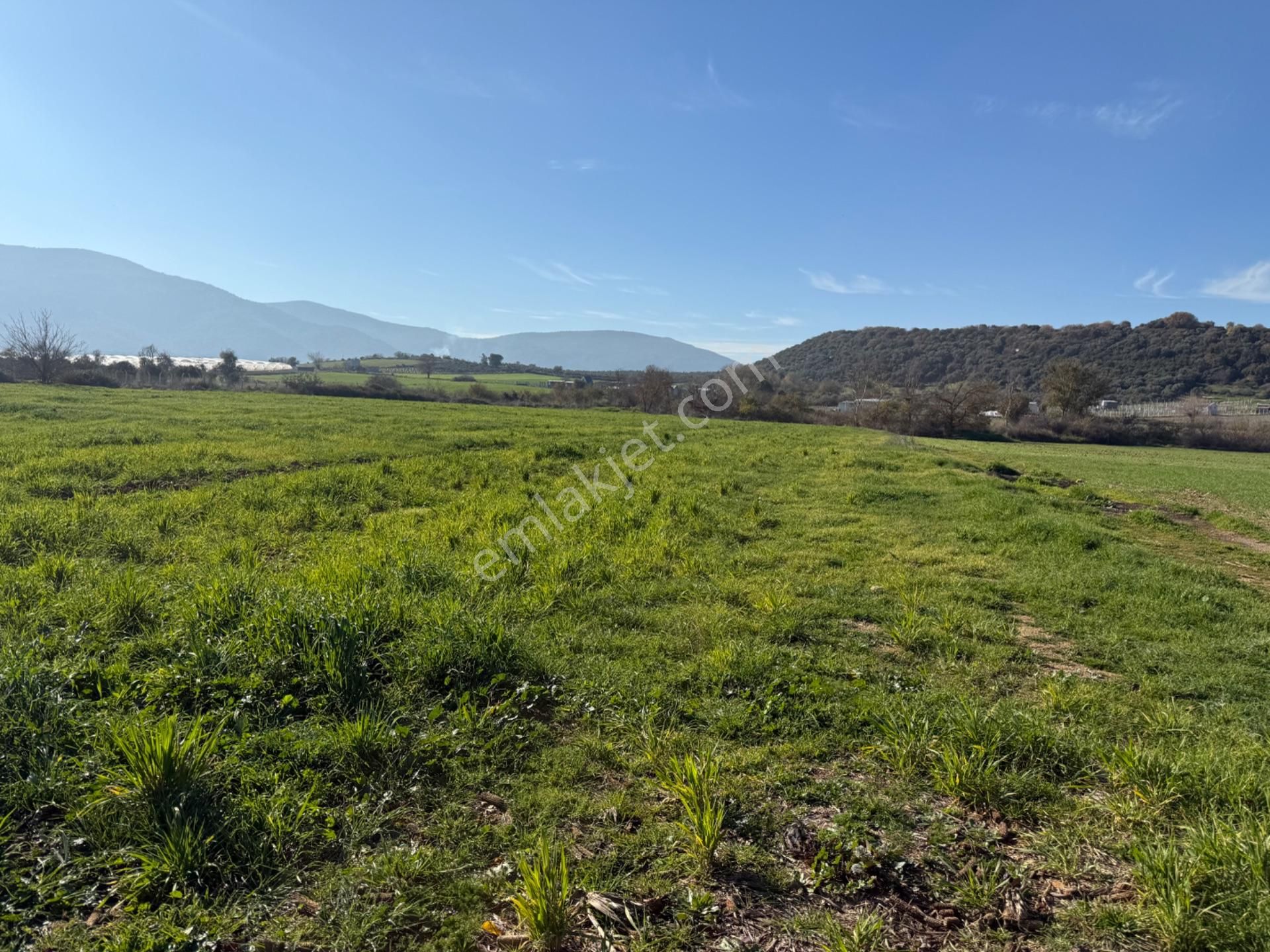 Menderes Değirmenderede Satılık Hisse Tapu Tarla - Görsel 2