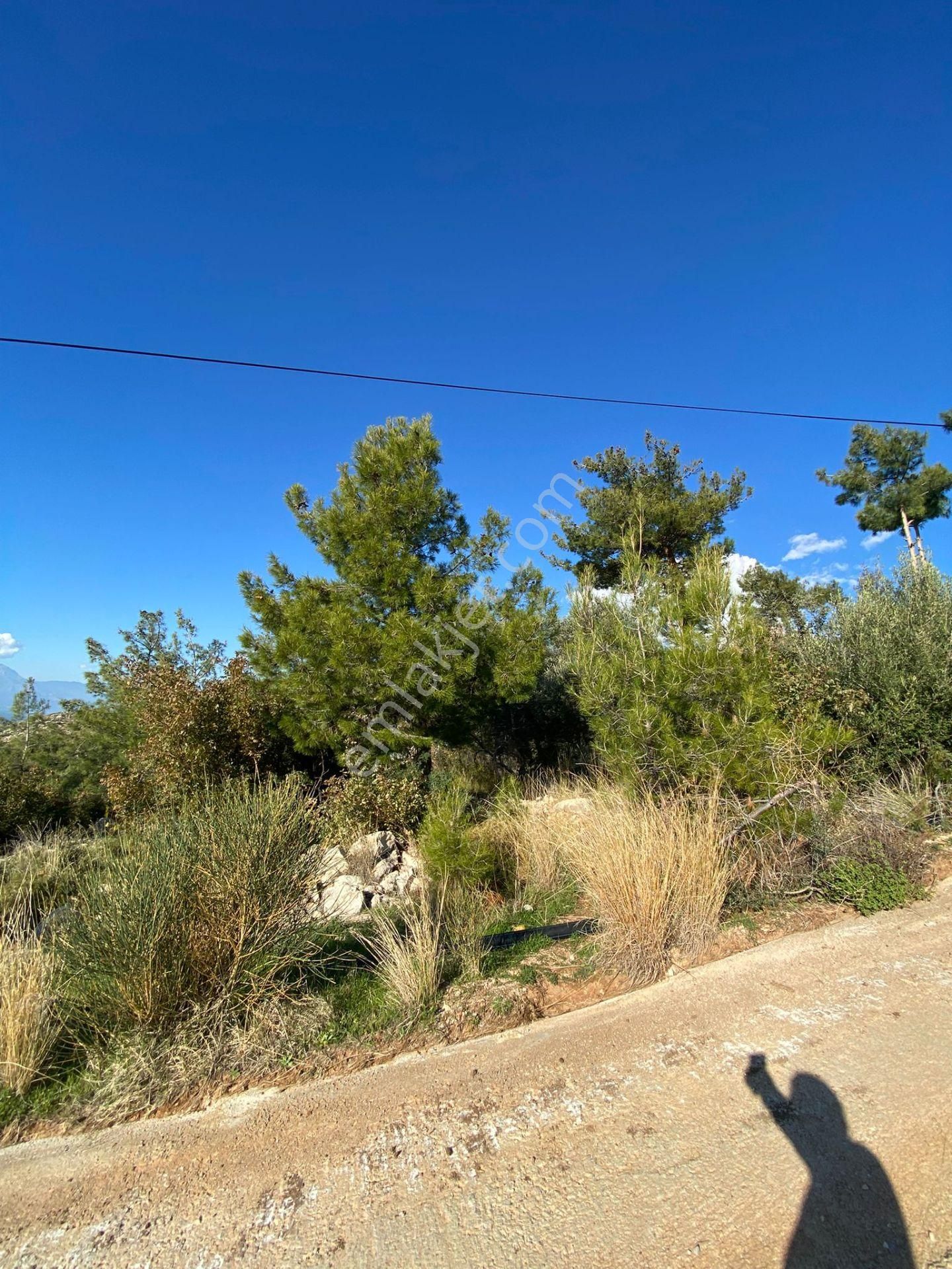 Kaş Kalkan'da 2 Ayrı Deniz Gören Muhteşem Konumda Zeyitnlik - Görsel 8