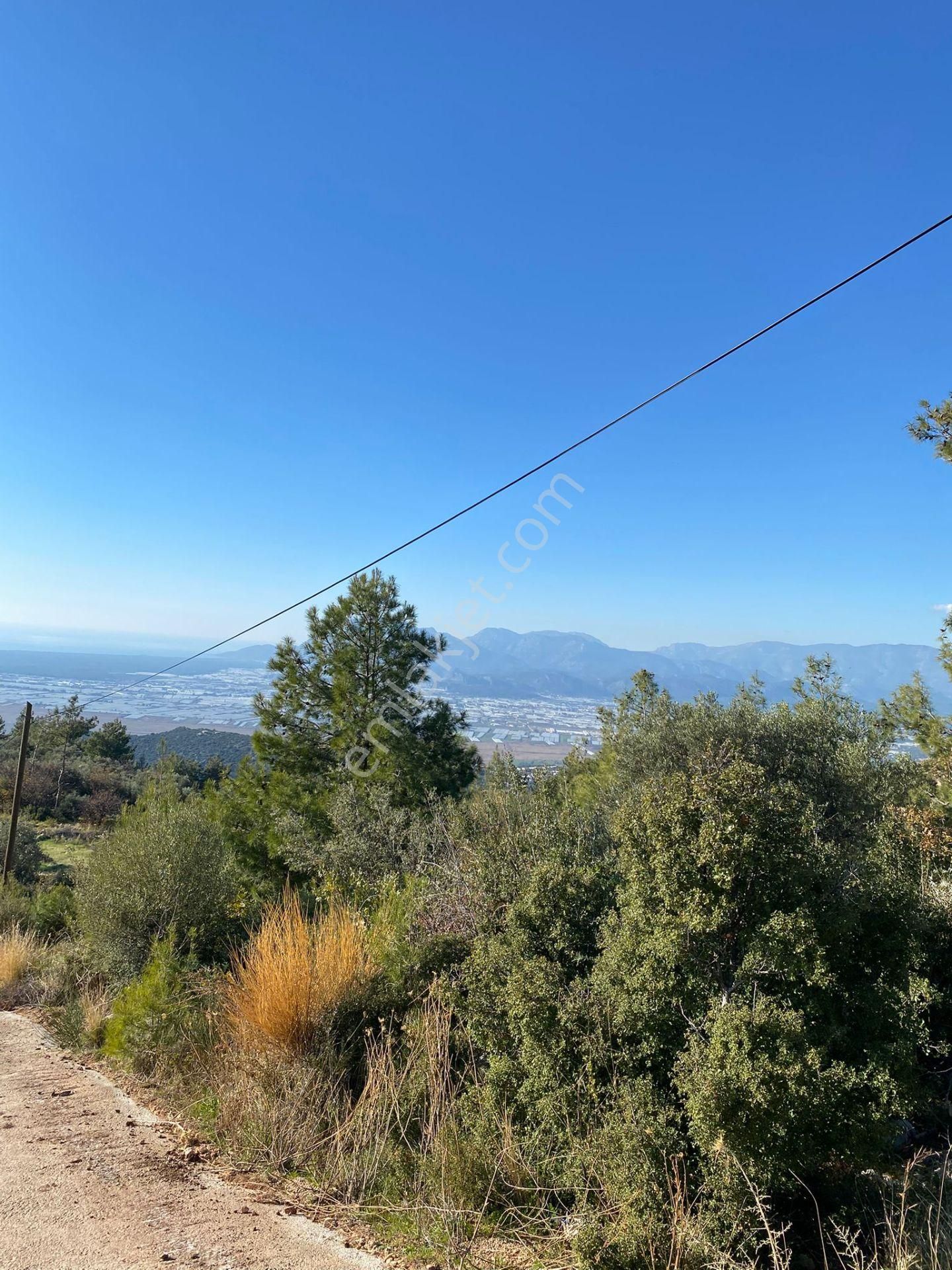 Kaş Kalkan'da 2 Ayrı Deniz Gören Muhteşem Konumda Zeyitnlik - Görsel 12