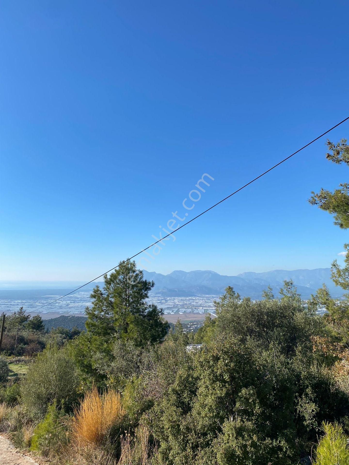 Kaş Kalkan'da 2 Ayrı Deniz Gören Muhteşem Konumda Zeyitnlik - Görsel 7