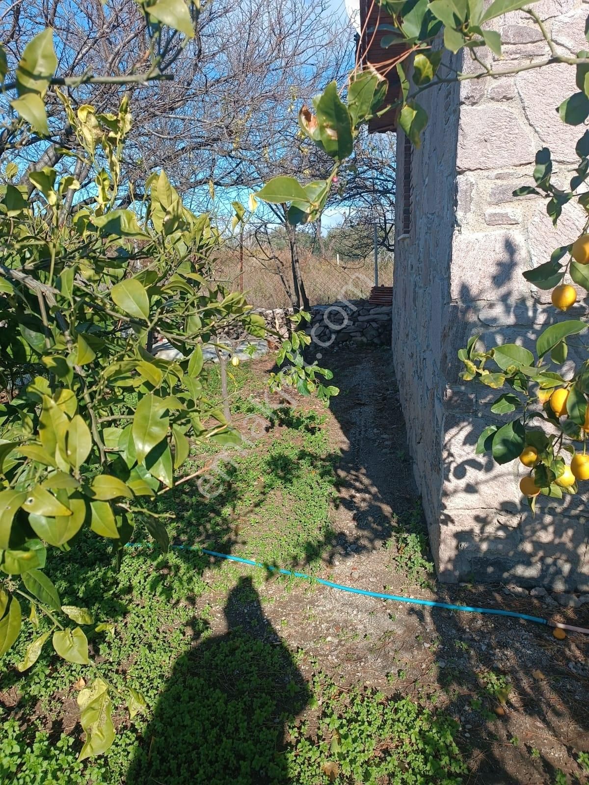 Newcıty Emlaktan İzmir Bademlide Bahçeli Müstakil Taş Ev - Görsel 3