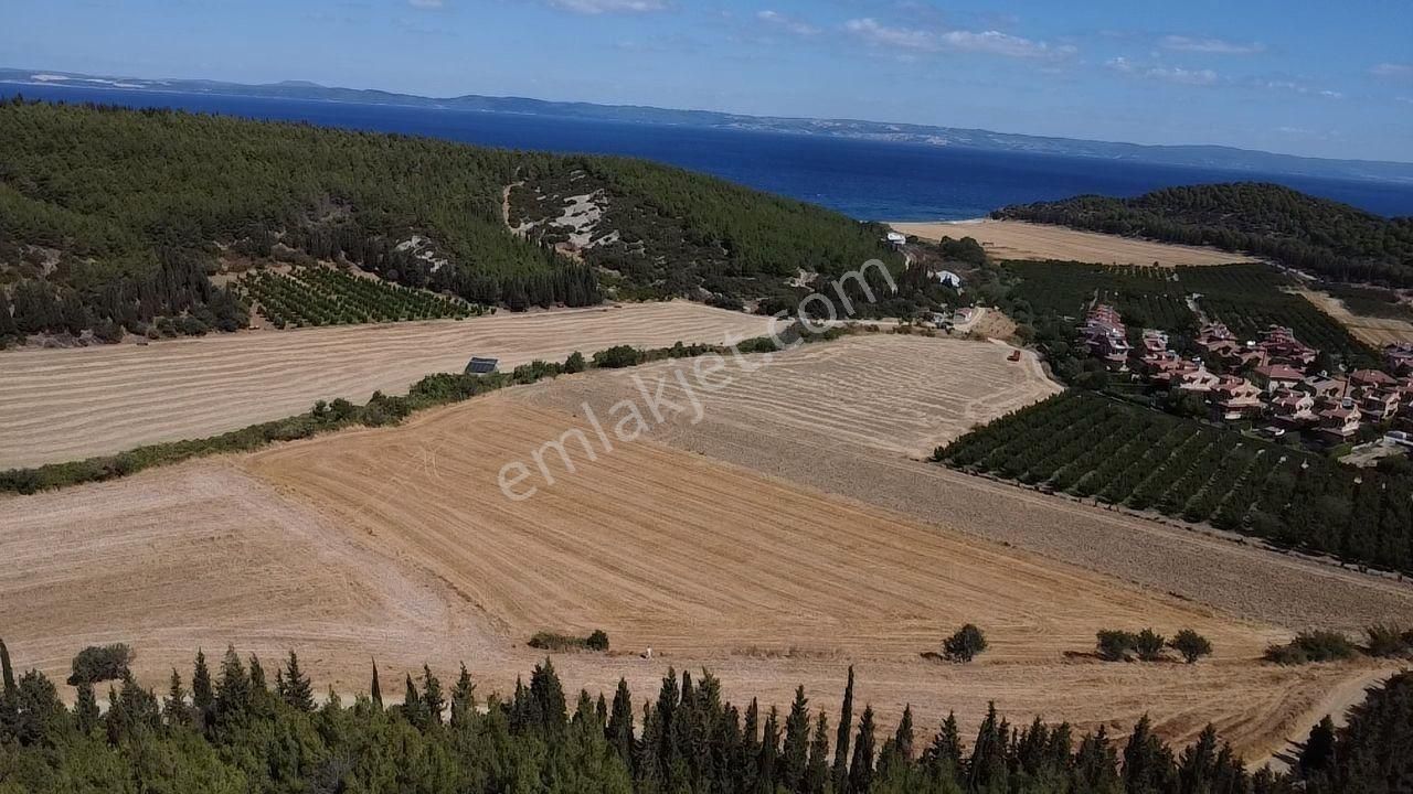 Yeniköy'de Deniz Manzaralı Satılık Tarla - Görsel 2