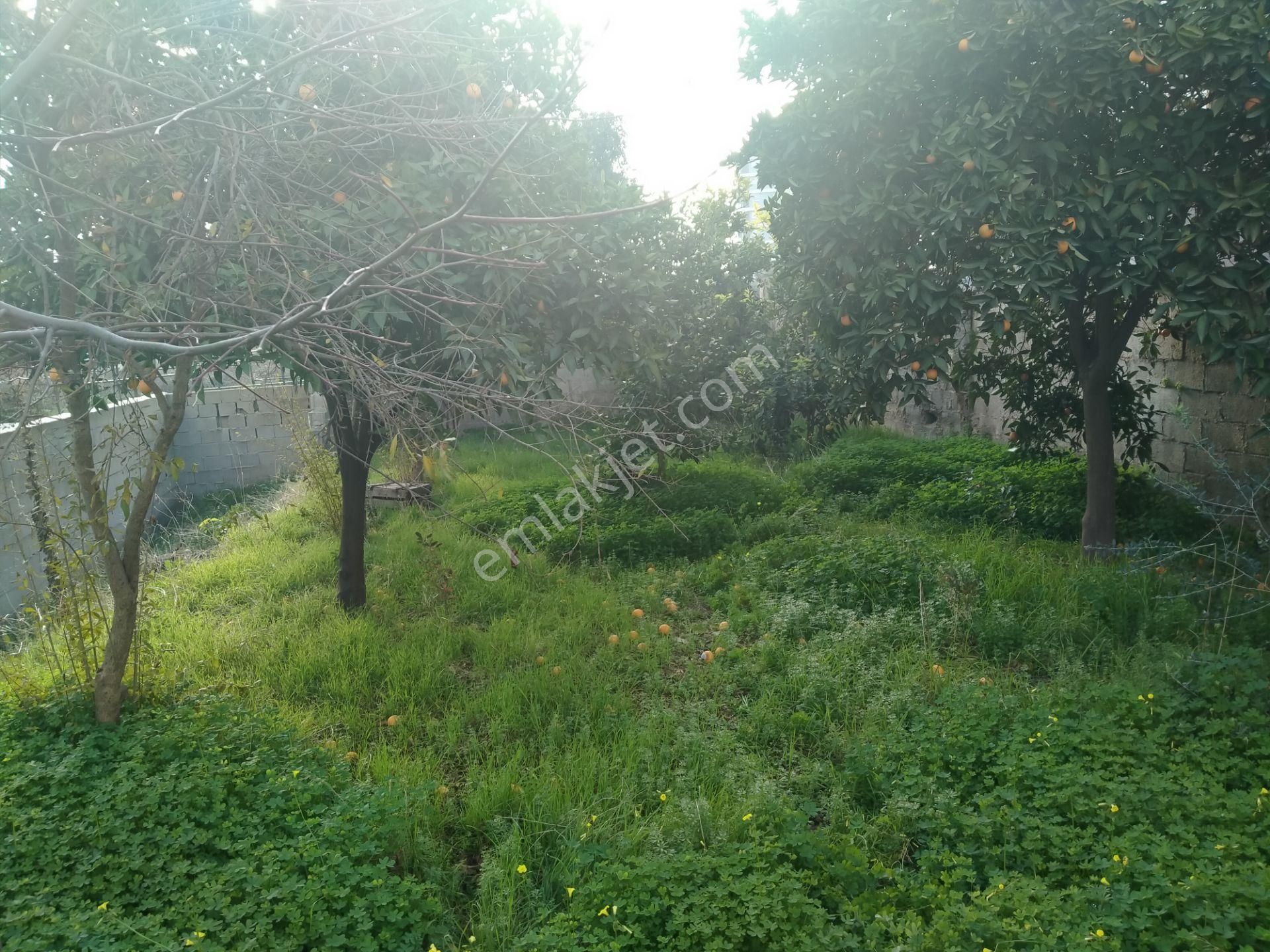 Yasin Emlaktan 2 Katlı Şirinevler Mahallesinde Mustakıl Ev - Görsel 27