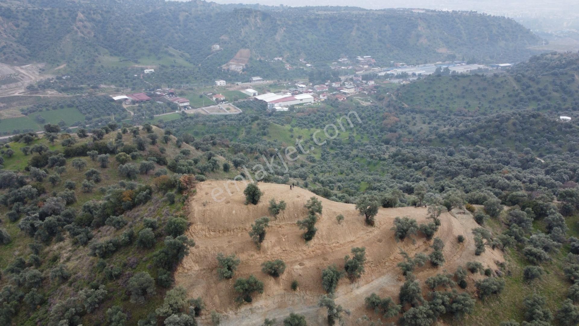 ✅✅ Nazilli Ocaklı’da 4.187 M2 Bahçe Satılıktır ✅✅