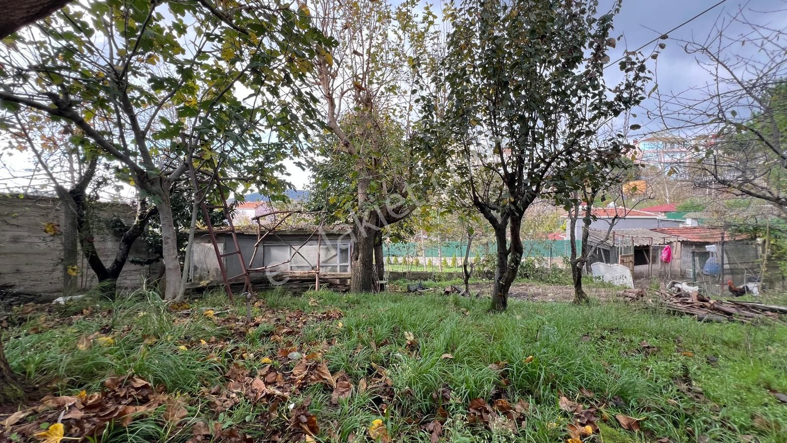 İstanbul'un Göbeğinde Doğal Yaşam Fırsatı - Görsel 8