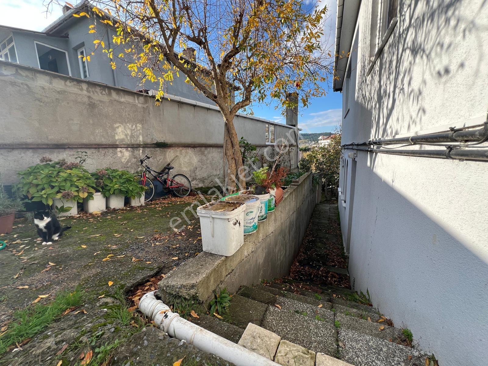 İstanbul'un Göbeğinde Doğal Yaşam Fırsatı - Görsel 13