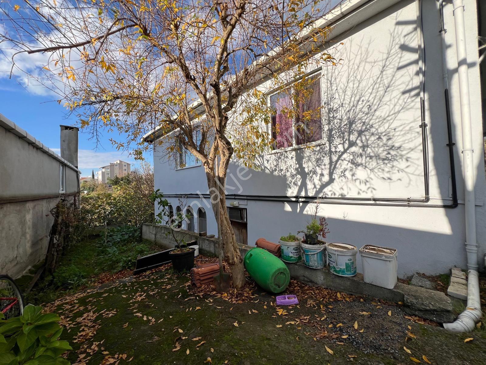 İstanbul'un Göbeğinde Doğal Yaşam Fırsatı - Görsel 12