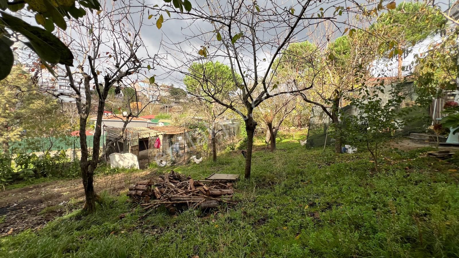 İstanbul'un Göbeğinde Doğal Yaşam Fırsatı - Görsel 9