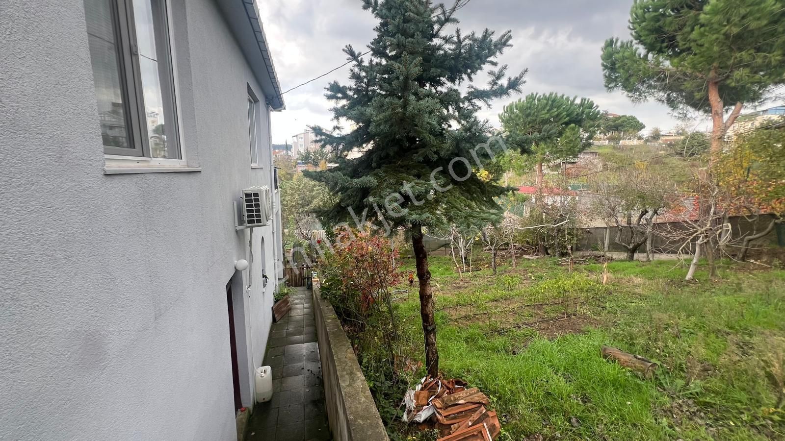 İstanbul'un Göbeğinde Doğal Yaşam Fırsatı - Görsel 4