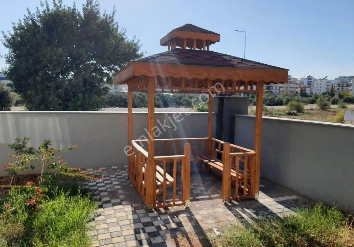 1+1 Geniş Daire Ayrı Mutfak - Görsel 5