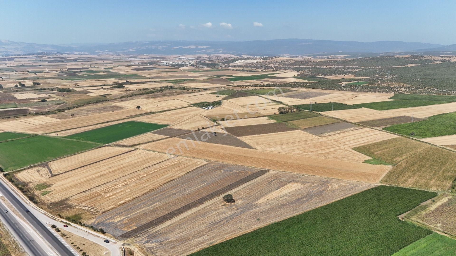 Bursa Karacabey Seyran Ana Asfalta Cephe Arazi - Görsel 12
