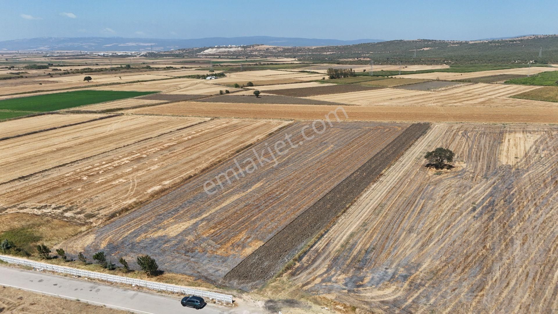 Bursa Karacabey Seyran Ana Asfalta Cephe Arazi - Görsel 19