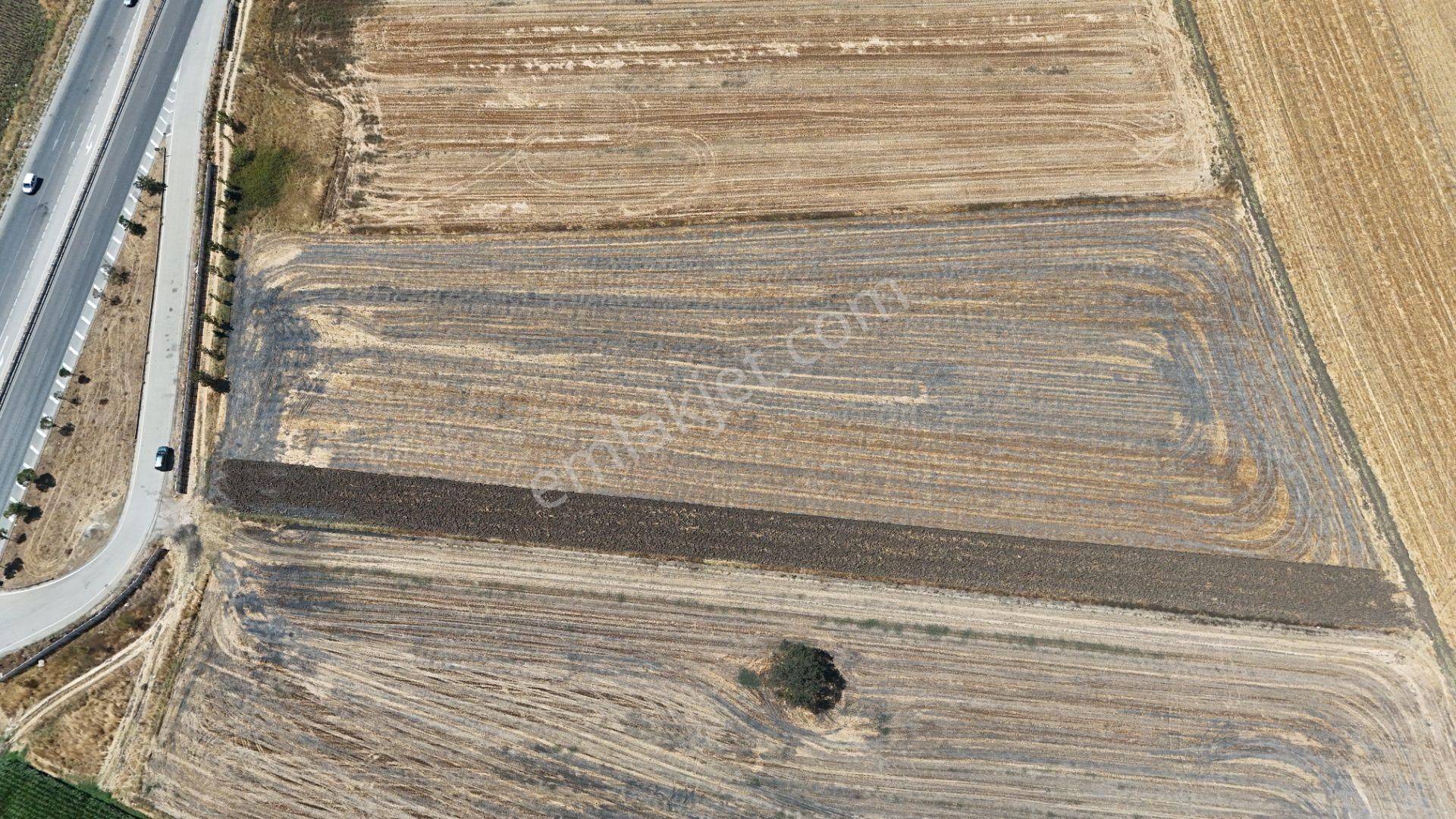 Bursa Karacabey Seyran Ana Asfalta Cephe Arazi - Görsel 20