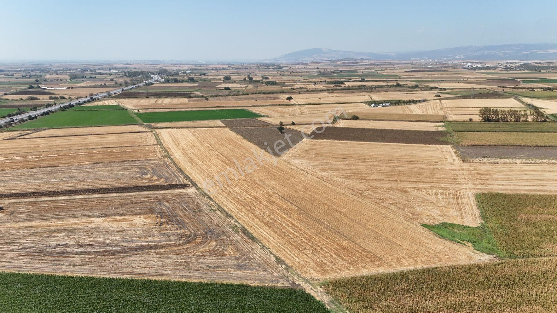 Bursa Karacabey Seyran Ana Asfalta Cephe Arazi - Görsel 21