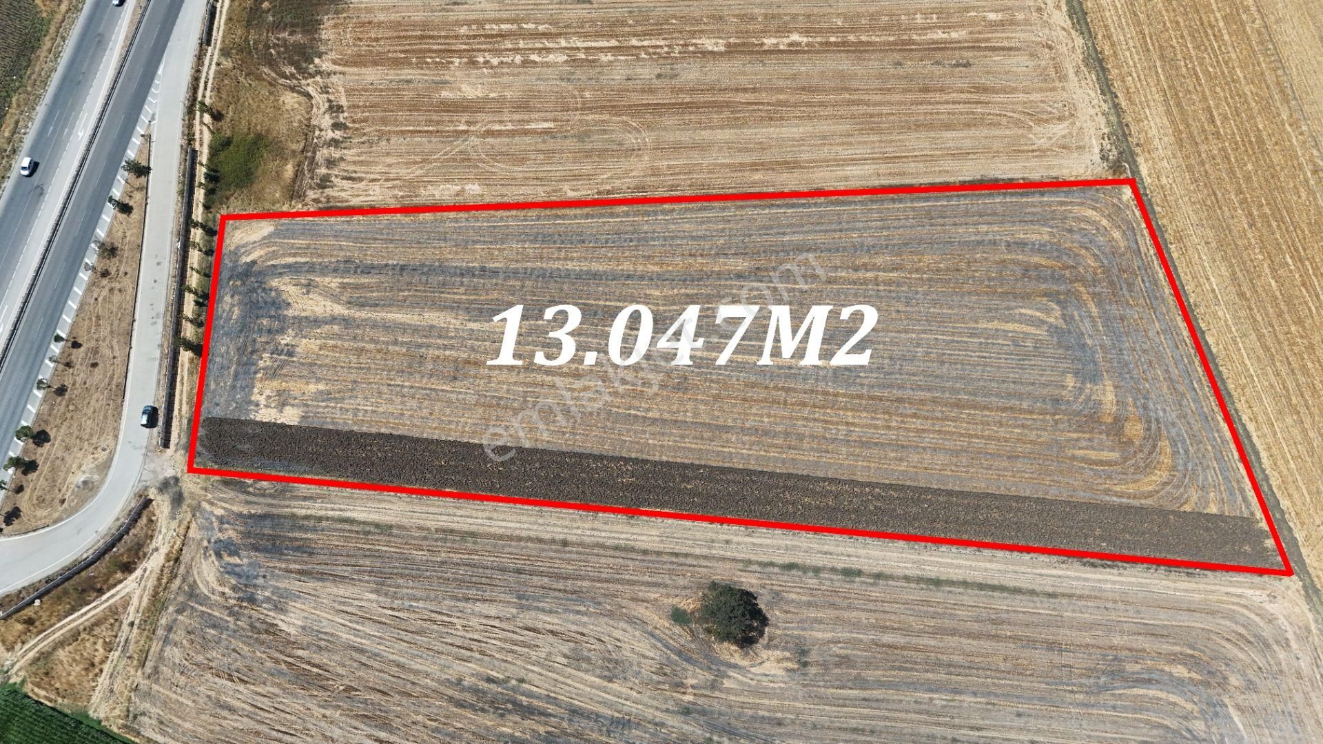 Bursa Karacabey Seyran Ana Asfalta Cephe Arazi - Görsel 3