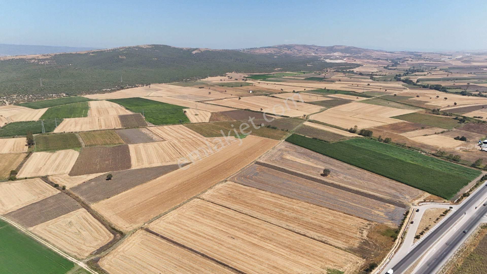 Bursa Karacabey Seyran Ana Asfalta Cephe Arazi - Görsel 10