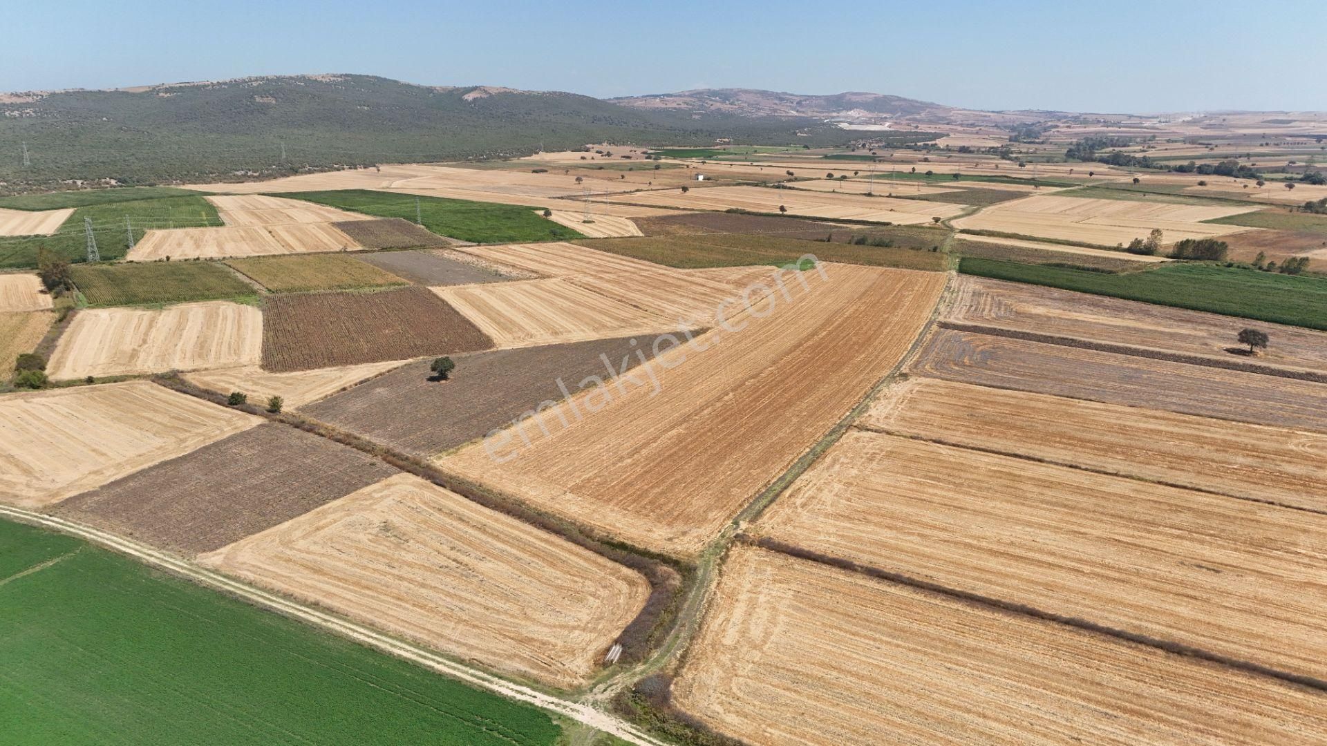 Bursa Karacabey Seyran Ana Asfalta Cephe Arazi - Görsel 25