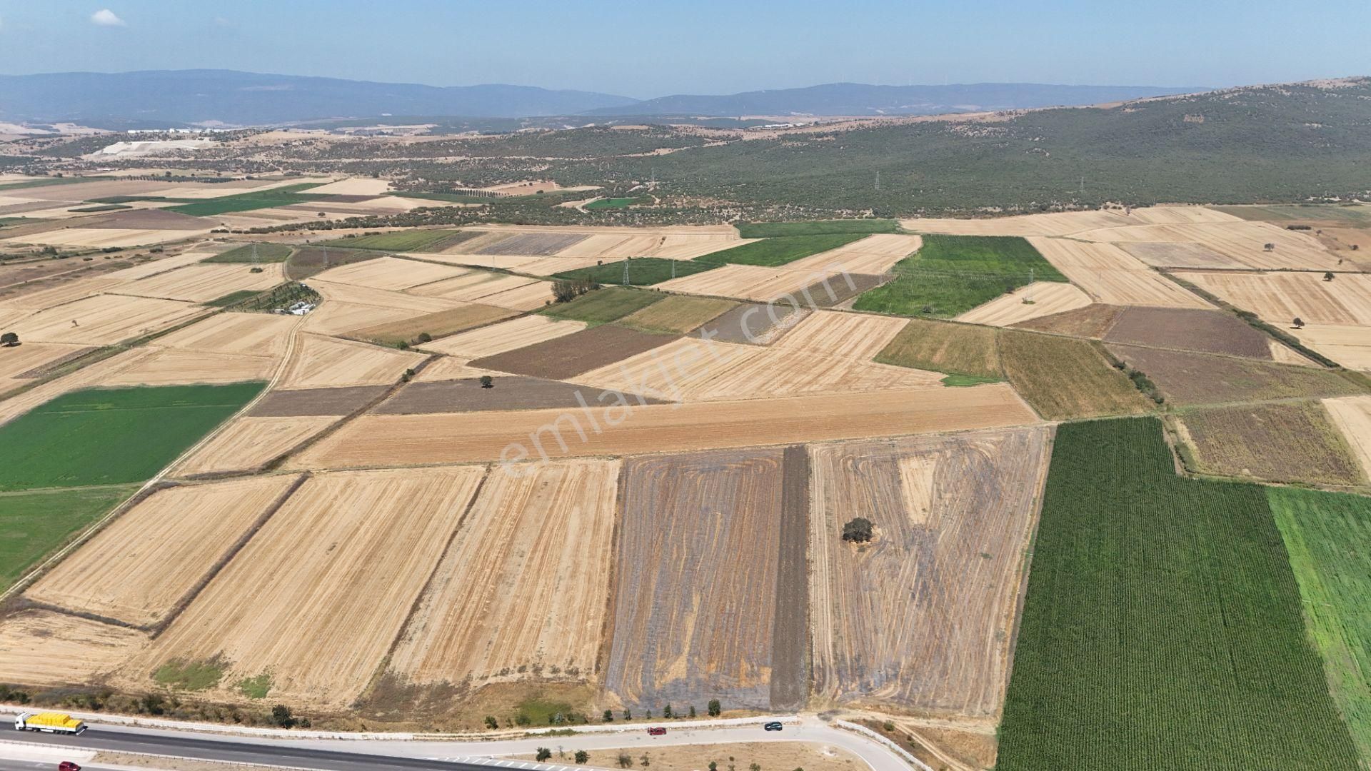 Bursa Karacabey Seyran Ana Asfalta Cephe Arazi - Görsel 11