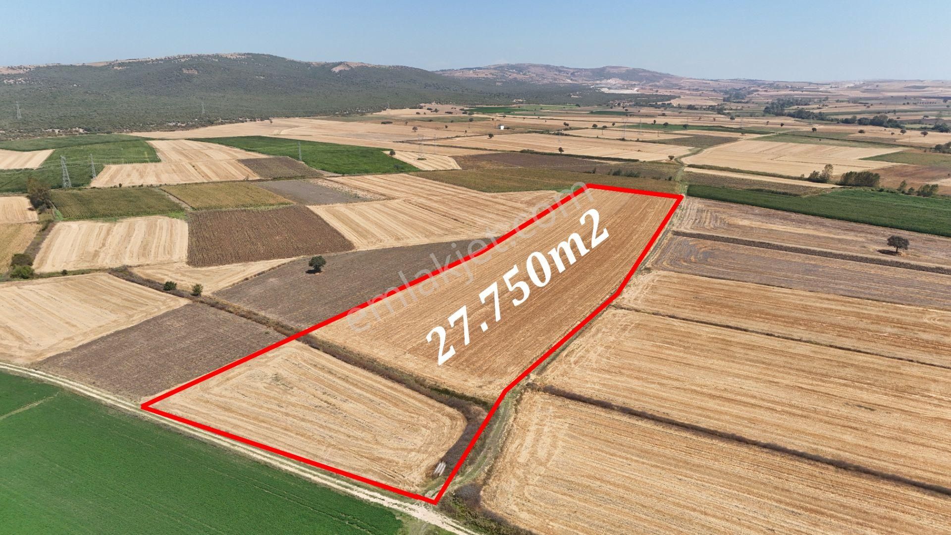 Bursa Karacabey Seyran Ana Asfalta Cephe Arazi - Görsel 4