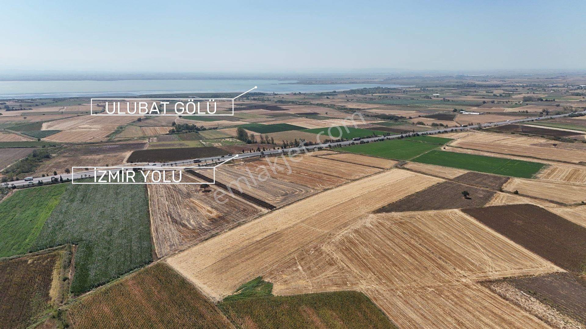 Bursa Karacabey Seyran Ana Asfalta Cephe Arazi - Görsel 5