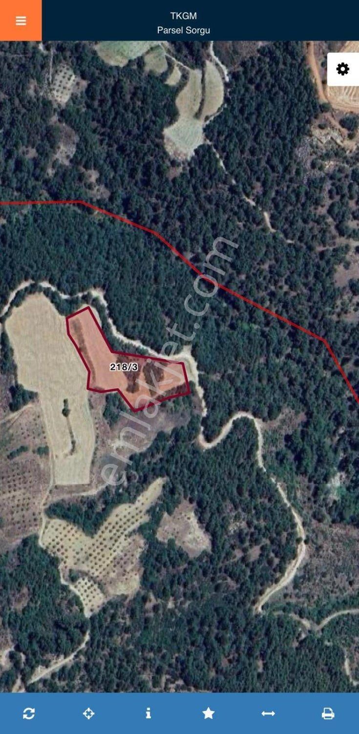 Muğla Menteşe Günlüce'de 6.916 M2 Yatırımlık Uygun Fiyatlı Tarla - Görsel 2