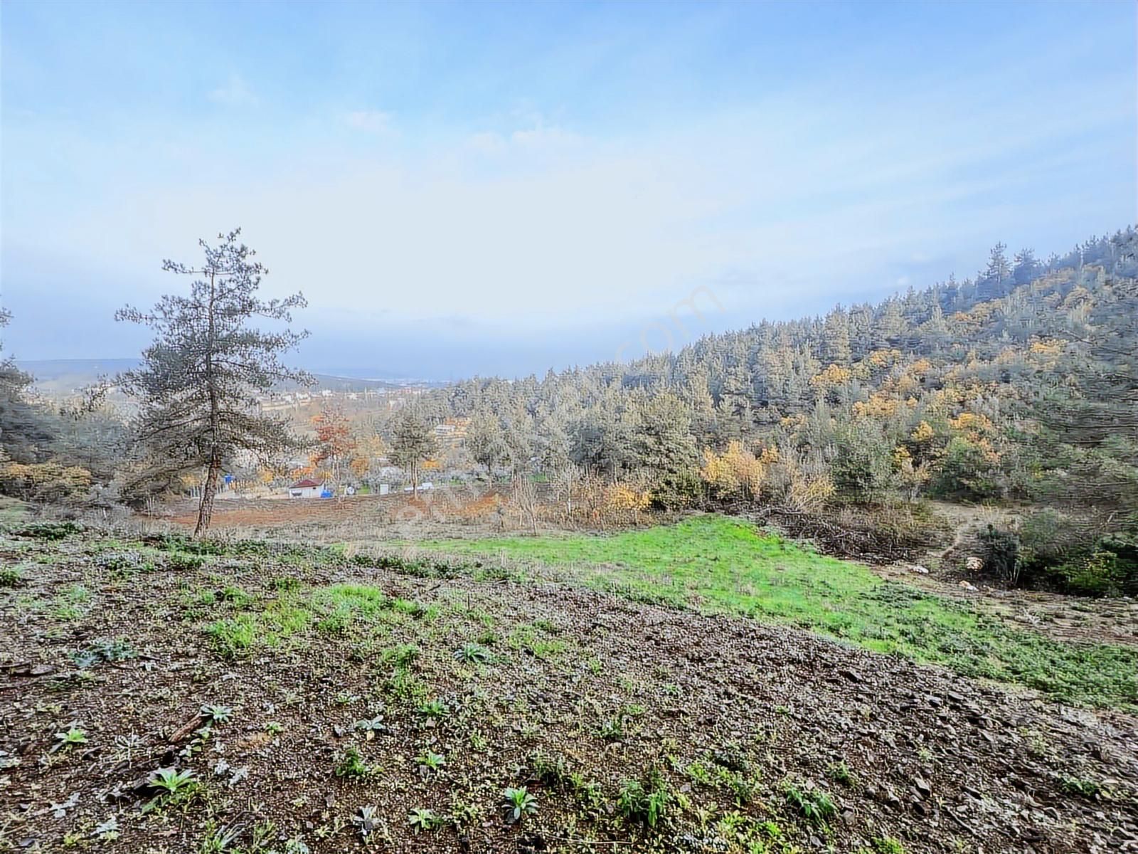 Hasanağa'da İmara 130 Metre Satılık 4350 M2 Tarla - Görsel 6