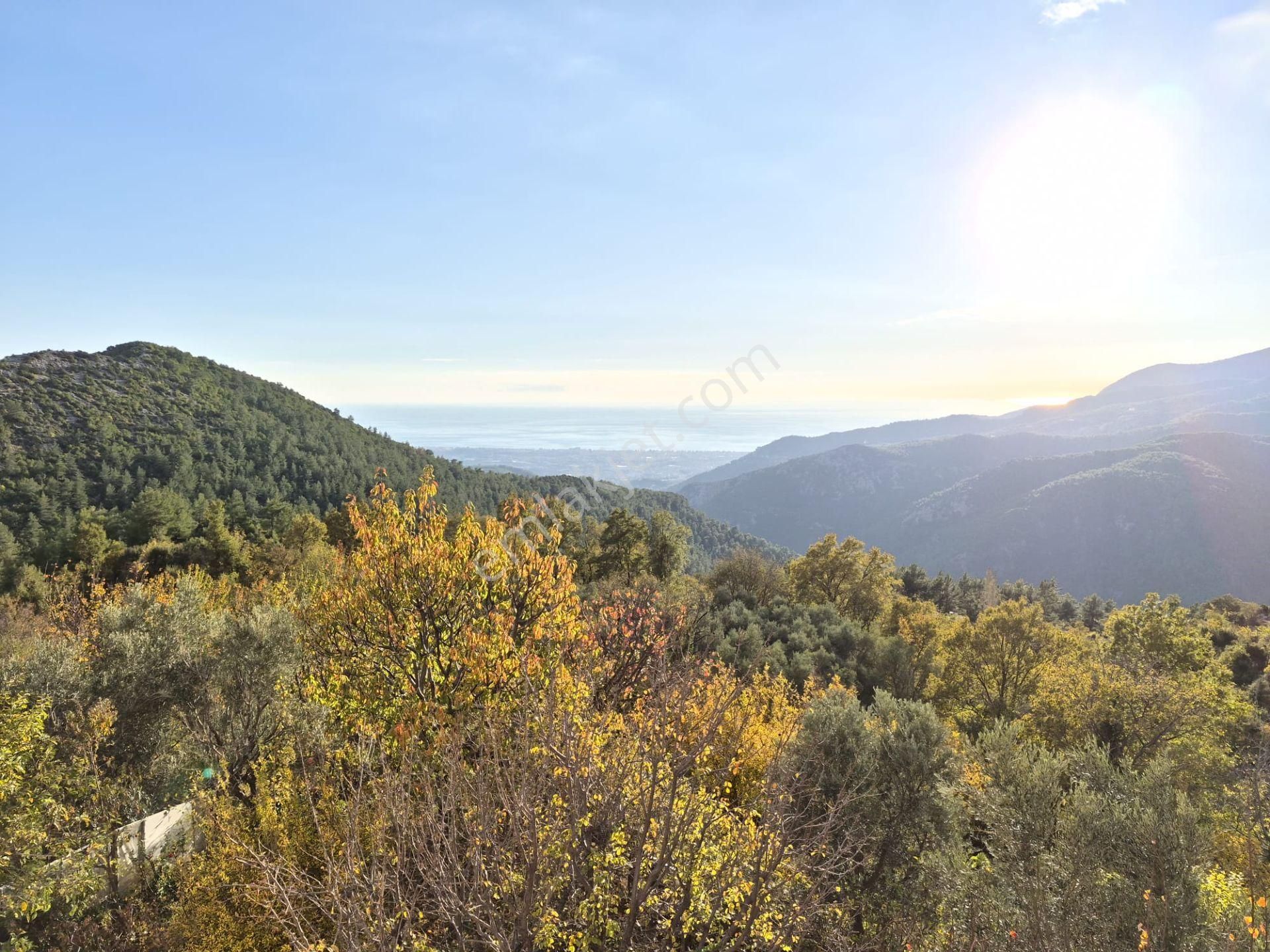 Alanya Bademağacın Da Satılık Bahçelei Müstakil Ev - Görsel 29