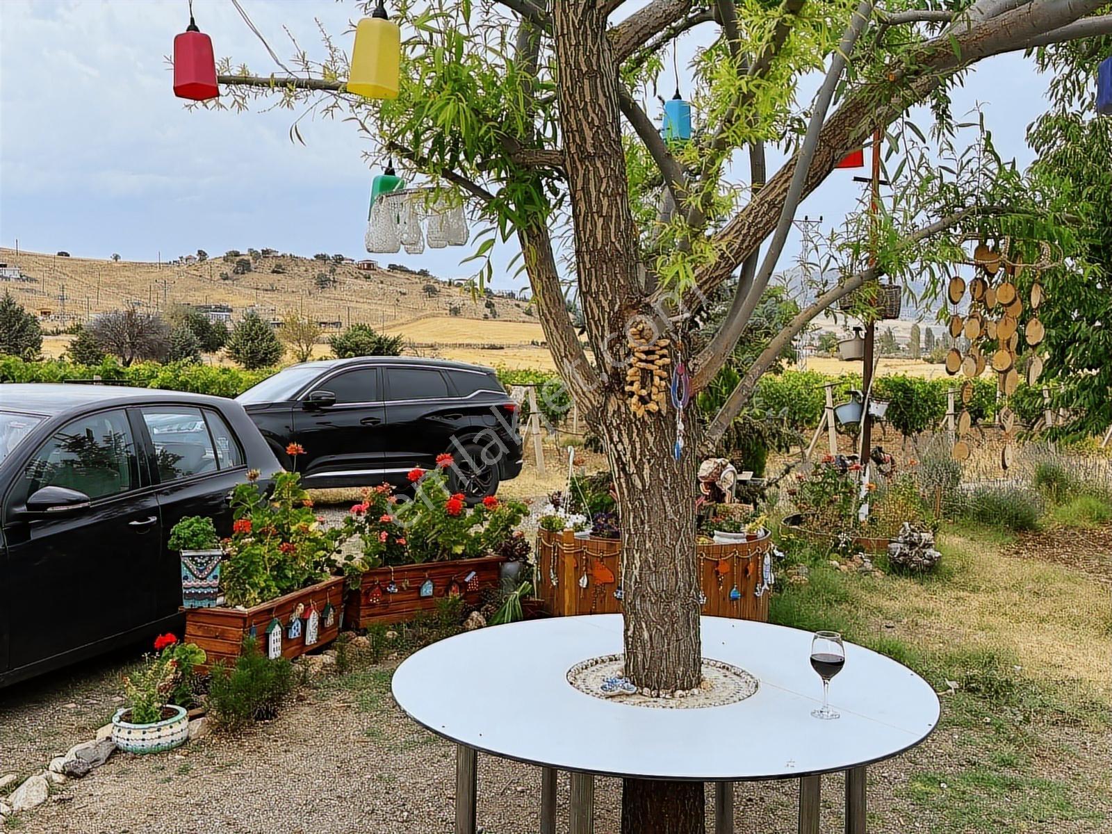 Turyap'tan Agro Turizm Ve Efsanavi Bağ Evi Ve Meyve Bahçesi Sat. - Görsel 33