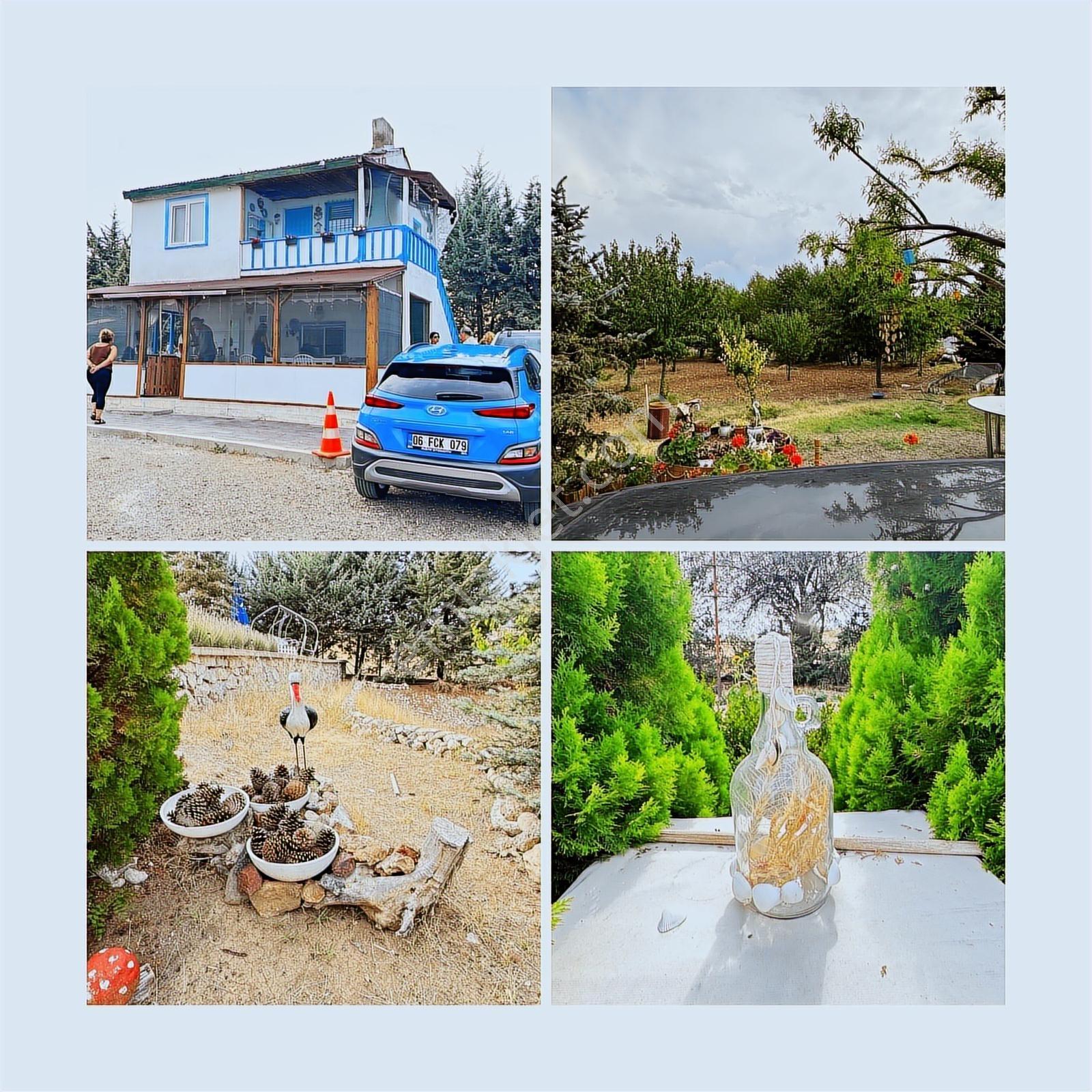 Turyap'tan Agro Turizm Ve Efsanavi Bağ Evi Ve Meyve Bahçesi Sat. - Görsel 30