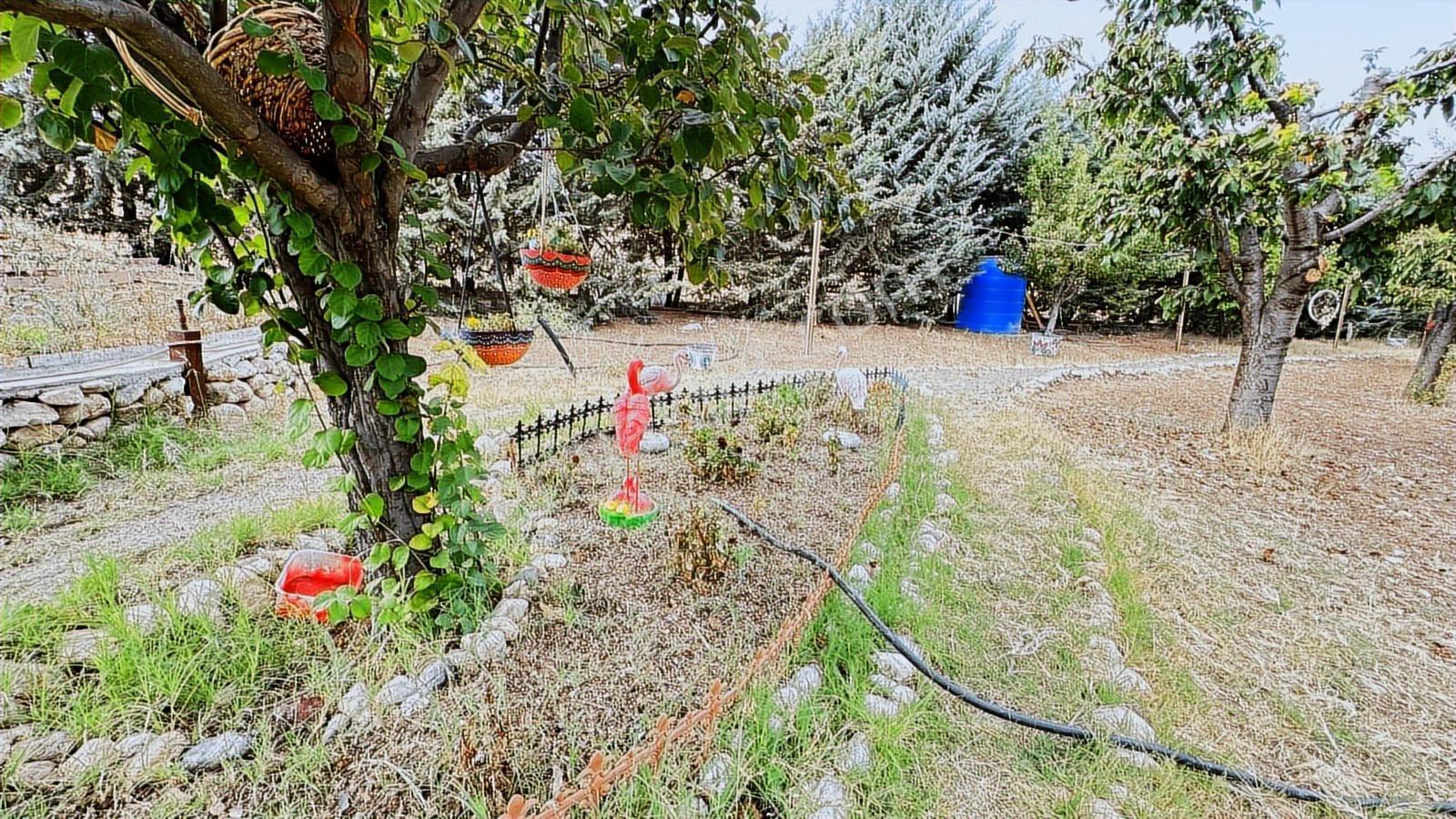 Turyap'tan Agro Turizm Ve Efsanavi Bağ Evi Ve Meyve Bahçesi Sat. - Görsel 2